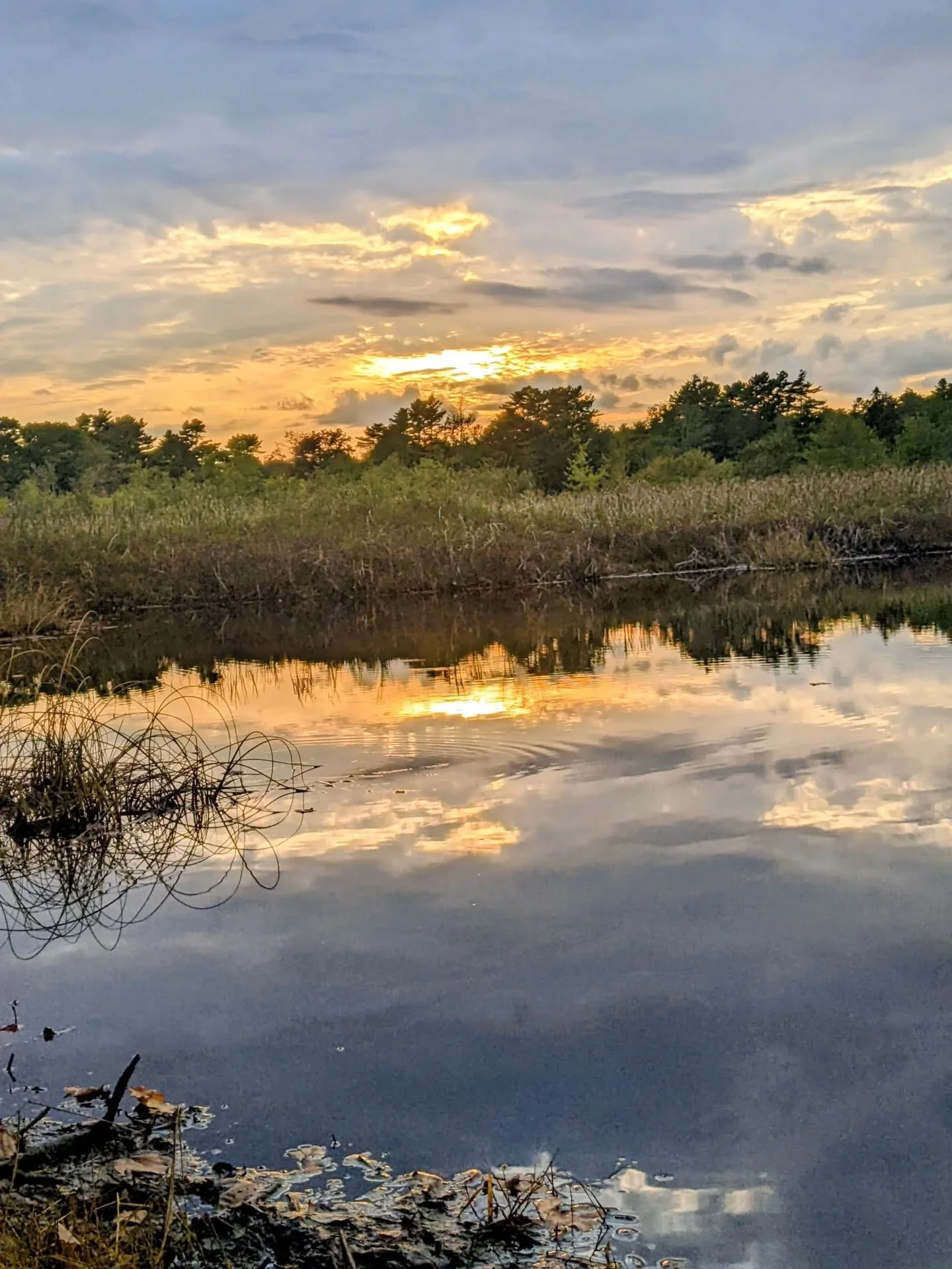We can thoroughly understand all of the reasons why we are suffering, yet still feel stuck.

We can GET why we struggle - Everything that has happened that has shaped us, for better or worse. The how and the why of it all makes sense.

Maybe you have