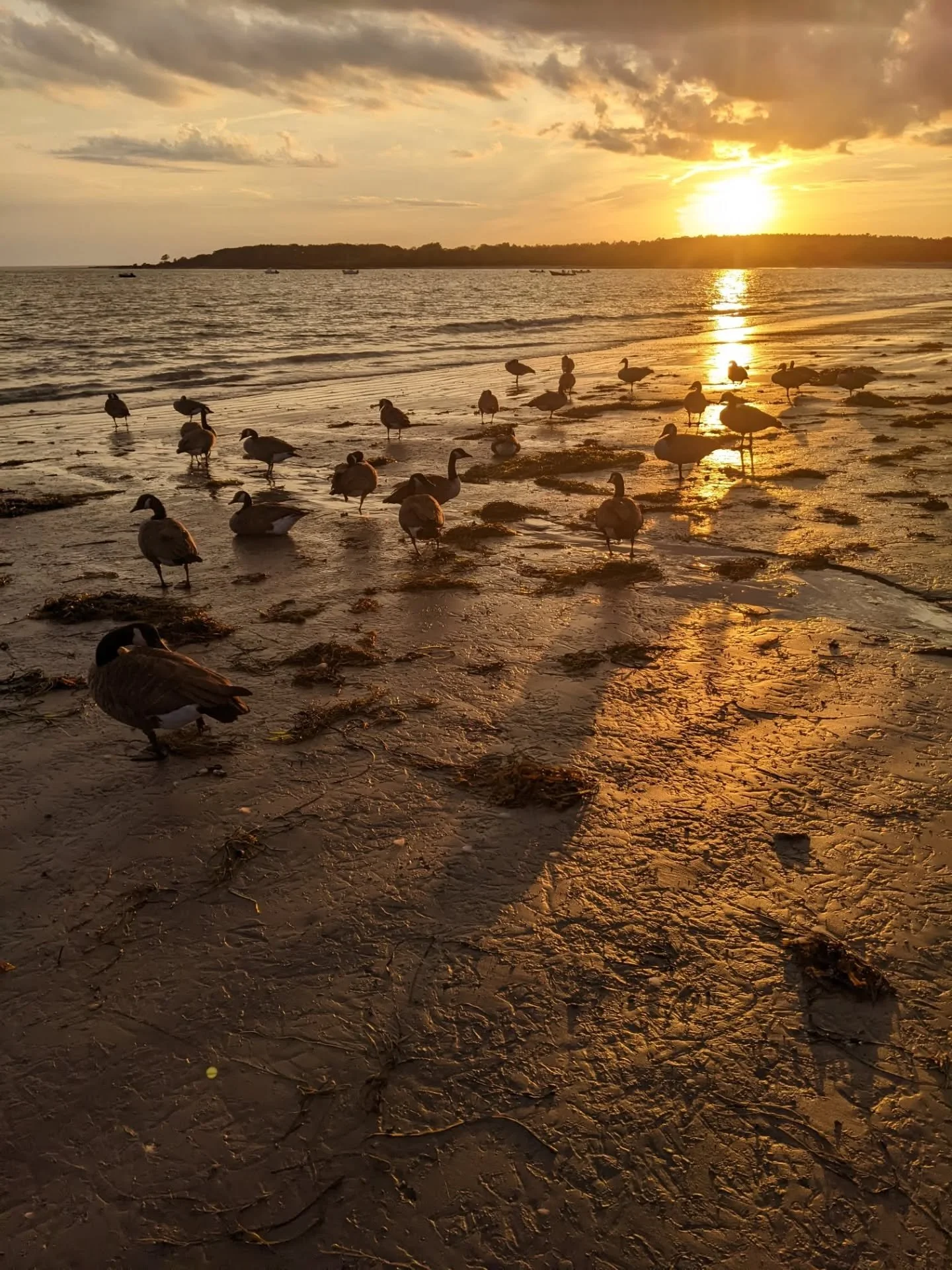 Are the healing practices you're engaging in helping to create space inside of you, or are they creating more constriction?
In somatic therapy, we work the felt sense of the body in the present moment - a process that engages so much more of our bra