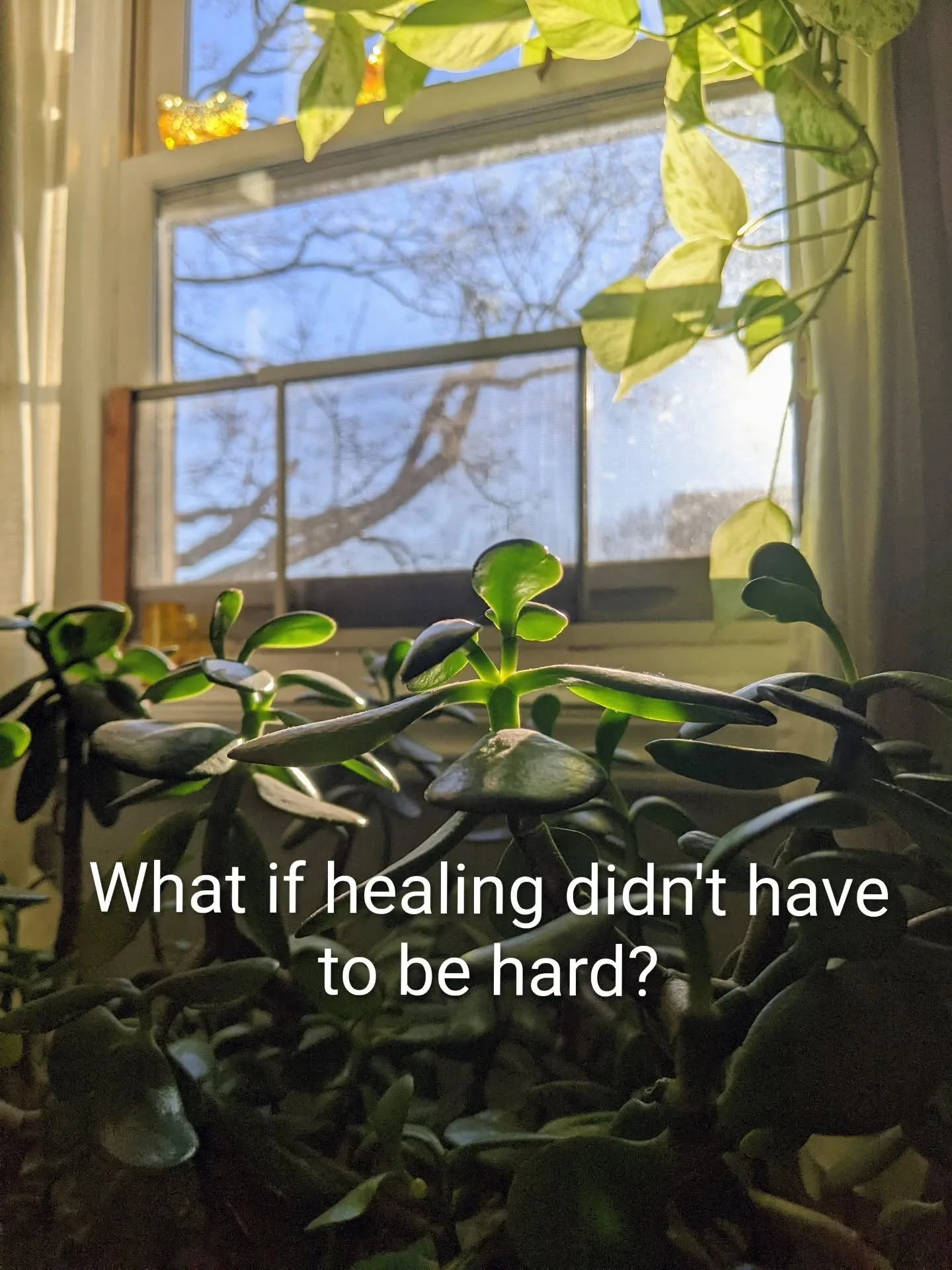 Healing doesn&rsquo;t require pushing.
It doesn&rsquo;t require force.
It doesn&rsquo;t require emotional intensity.

Most of the time, healing begins with the smallest movements &mdash;
a soft shift in the ribs,
a gentle sway through the spine,
a br