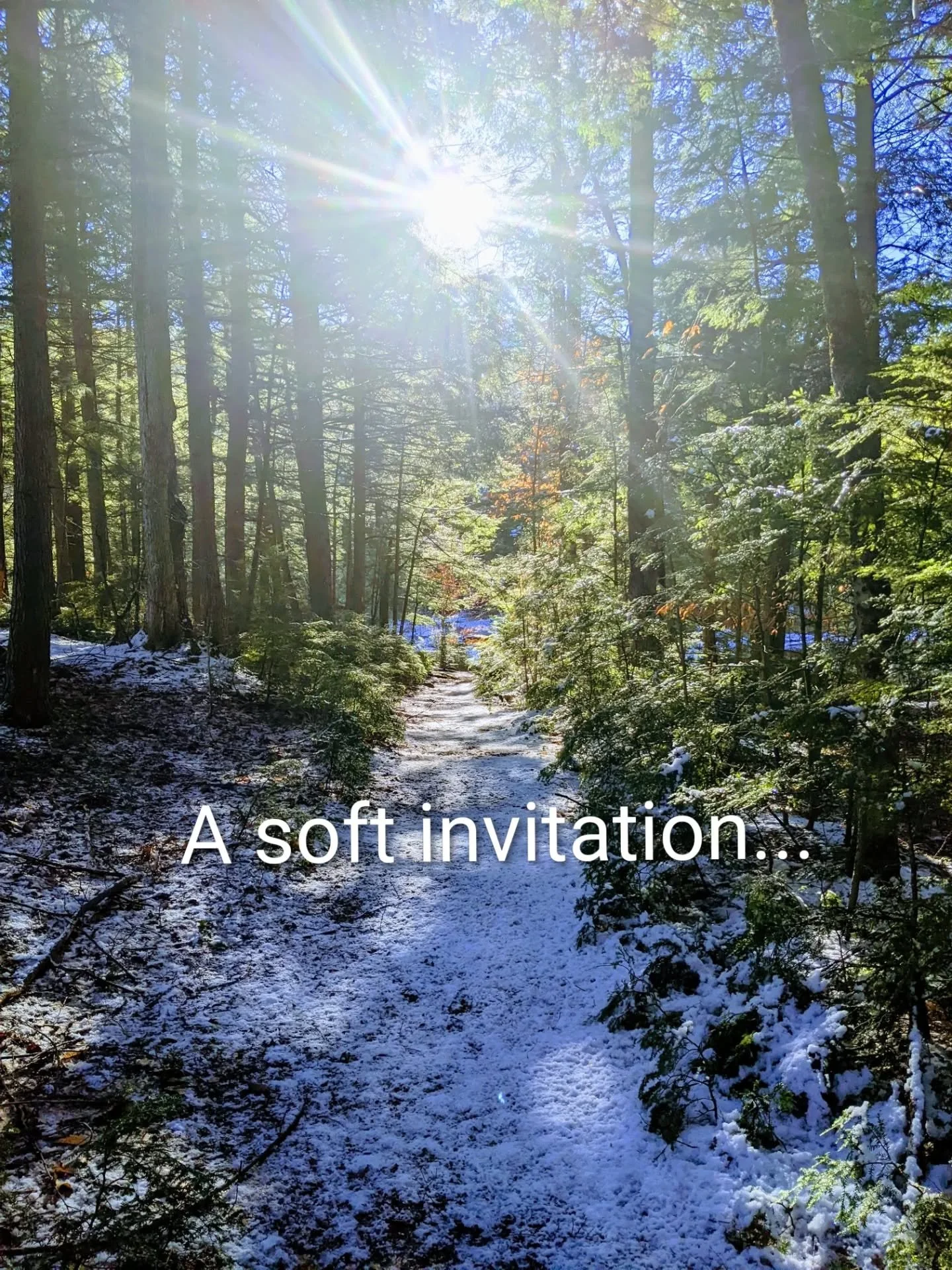 This is ideal for you if you&rsquo;re wanting to work with:

chronic pain
trauma recovery
freeze, dissociation, or overwhelm
feeling disconnected from the body
feeling stuck in any aspect of your life
emotional numbness
nervous system regulation
gent