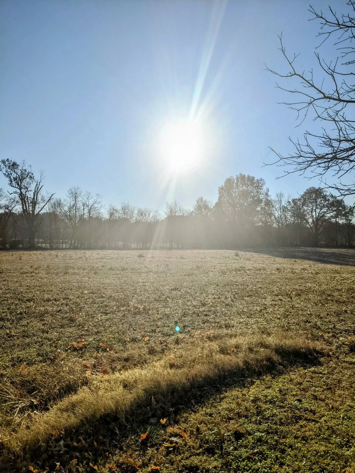 I just wanted to share some interesting historical information about Woodlawn, TN - the place where I grew up, and where my parents still live, and a place that is so near and dear to my heart, even though I live in New England now.

I am currently w