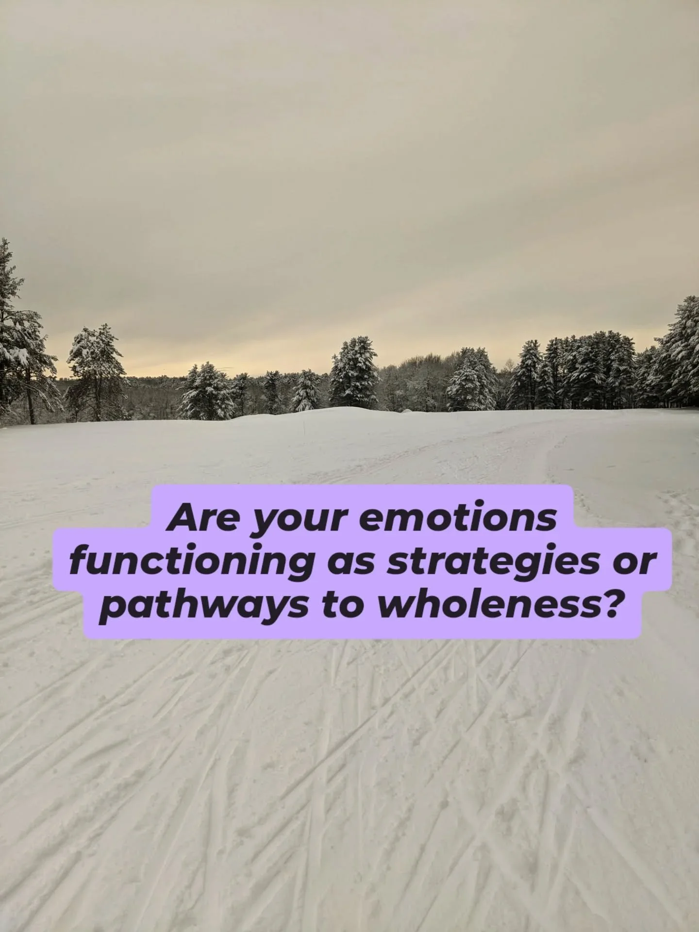 The seeds of authenticity don't sprout and grow from trying to get rid of parts of ourselves we wish to change.

Instead they come from slowing down, listening, and honoring what's here.

#hakomitherapy #painreprocessingtherapy #somatictherapy #traum