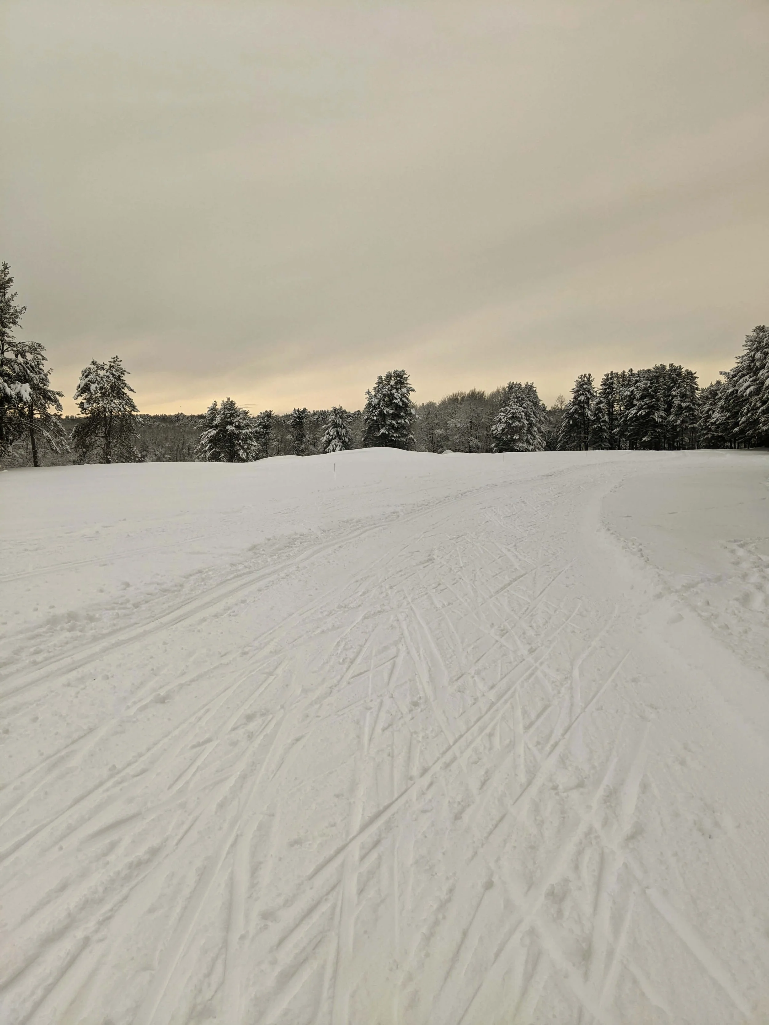 The Seeds of Authenticity - what lies beneath…