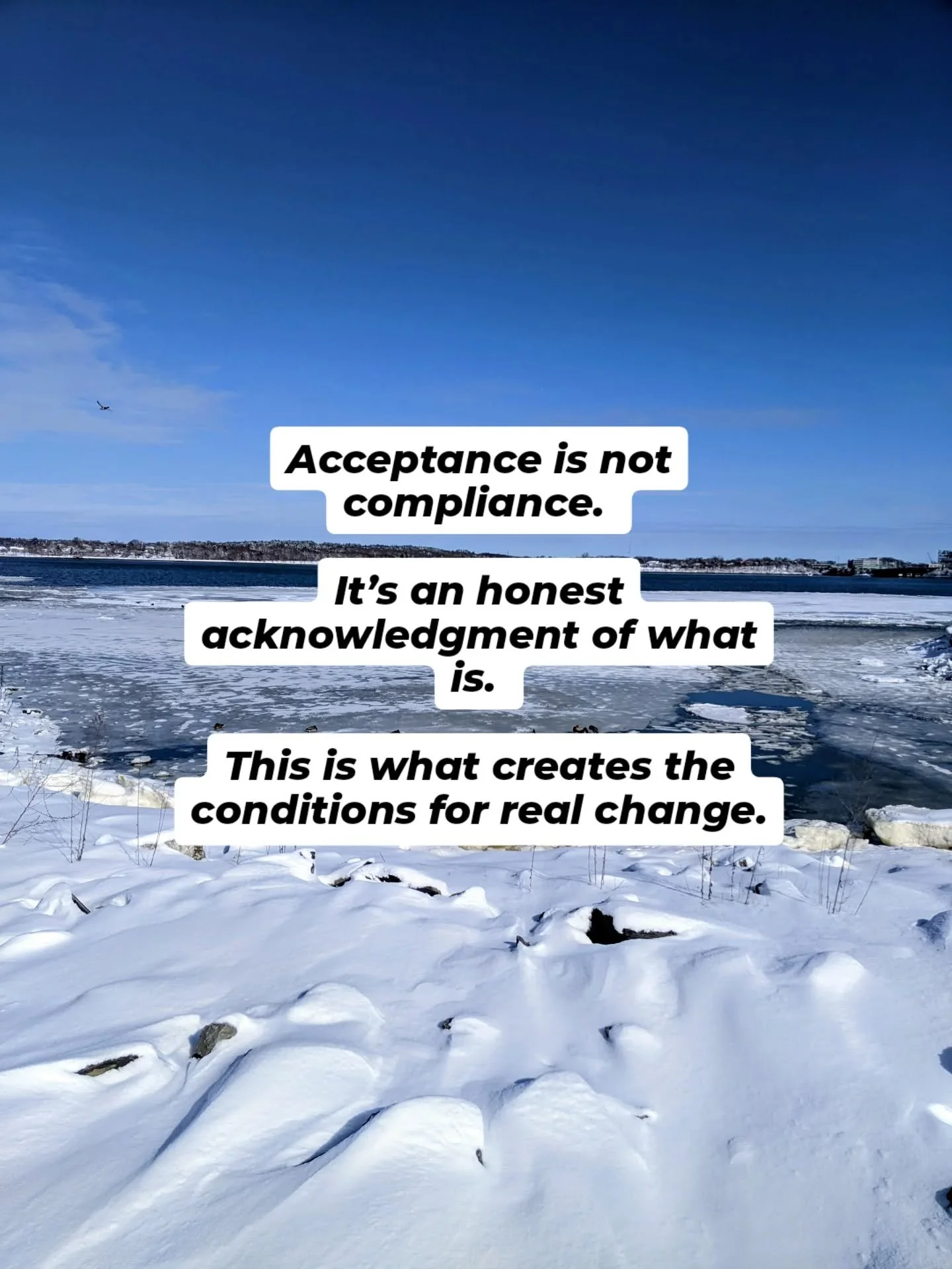 There are so many ways that this could be applied personally and collectively right now. 

What brings us into deeper truth and compassion?

That's the inquiry I'm holding.

Are we spinning around in hate, blaming the other?

Or are we staying presen