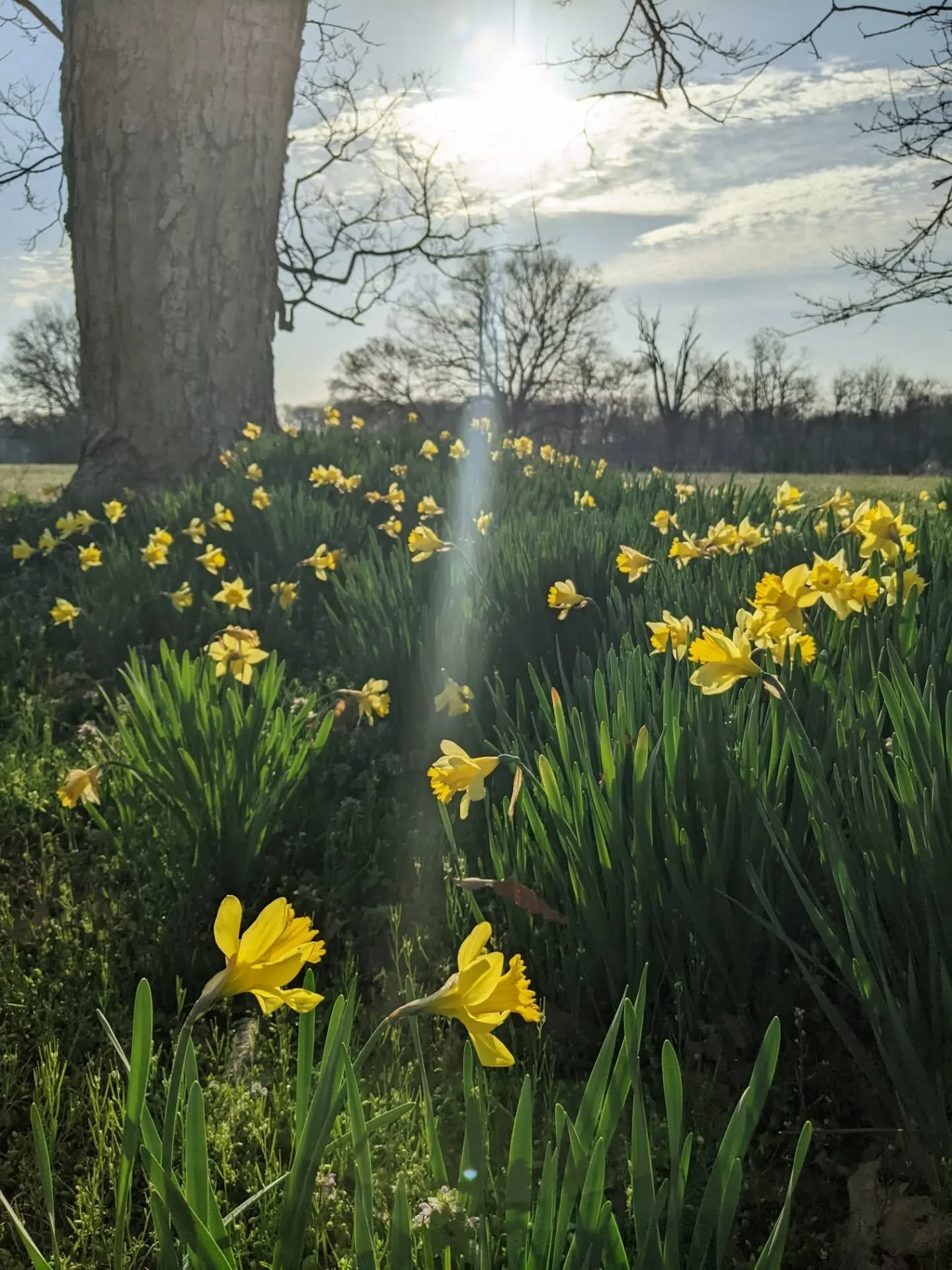 When we are constantly striving, we forget that we are already whole.

Until we remember again.

I was planning to post something about my Hakomi Somatic Therapy practice.

Instead I decided to pause, and enjoy my breath and this body.

There is so m