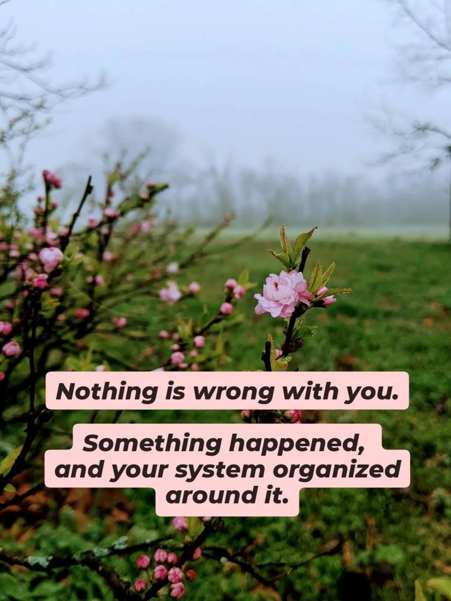 We don&rsquo;t force catharsis. We don&rsquo;t override defenses. We don&rsquo;t push for insight too soon.

Instead, we slow down.

We listen. We follow the body. And we trust the organic timing of your unfurling.

#hakomi #painreprocessingtherapy #