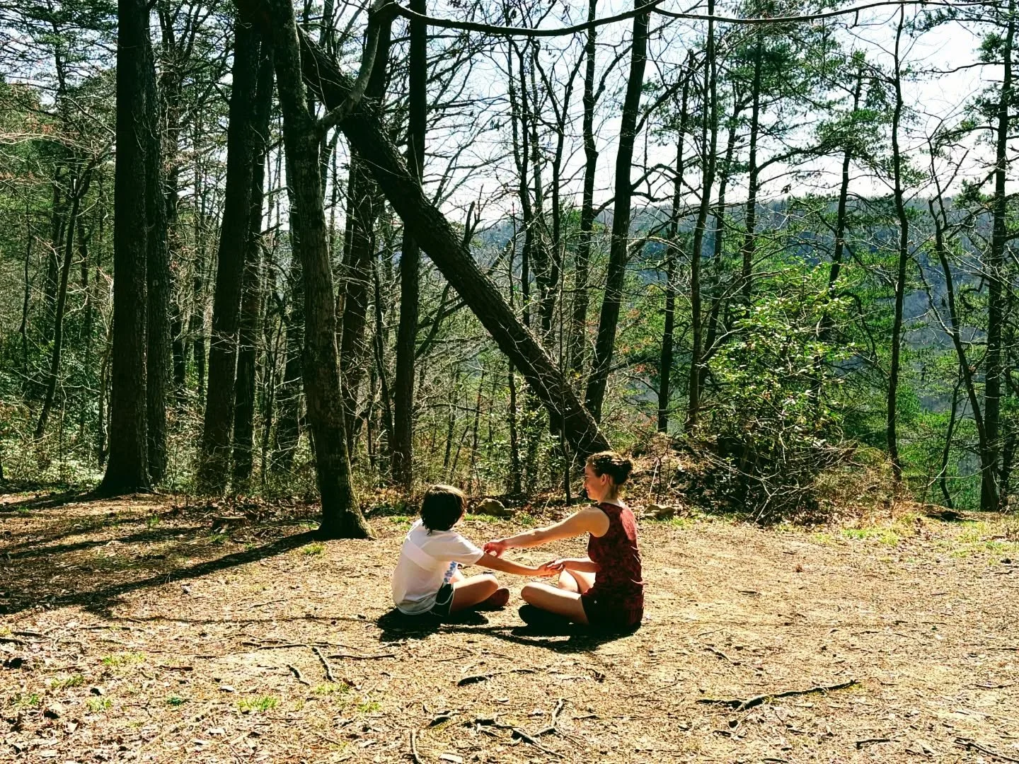Thank you, Tennessee, for holding me again.

Thank you family, home, roots, friends, spring ephemerals, forests, rivers, and warm air.

I got to spend time backpacking on the Cumberland plateau with my brother and niece, binge-watch Downton Abbey wit
