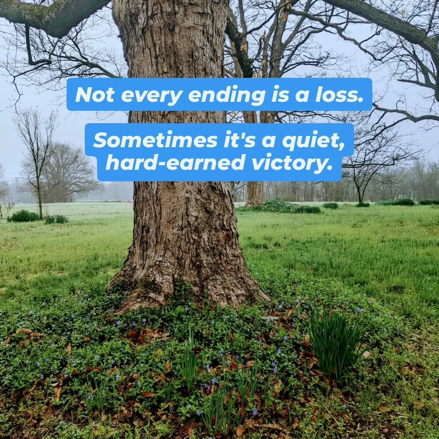 Recently, a long-term client of mine &ldquo;graduated&rdquo; from our work together.

For years, I had the honor of sitting beside her as she moved through the fire&mdash;unraveling layers of pain, meeting the places that kept her stuck, and slowly, 