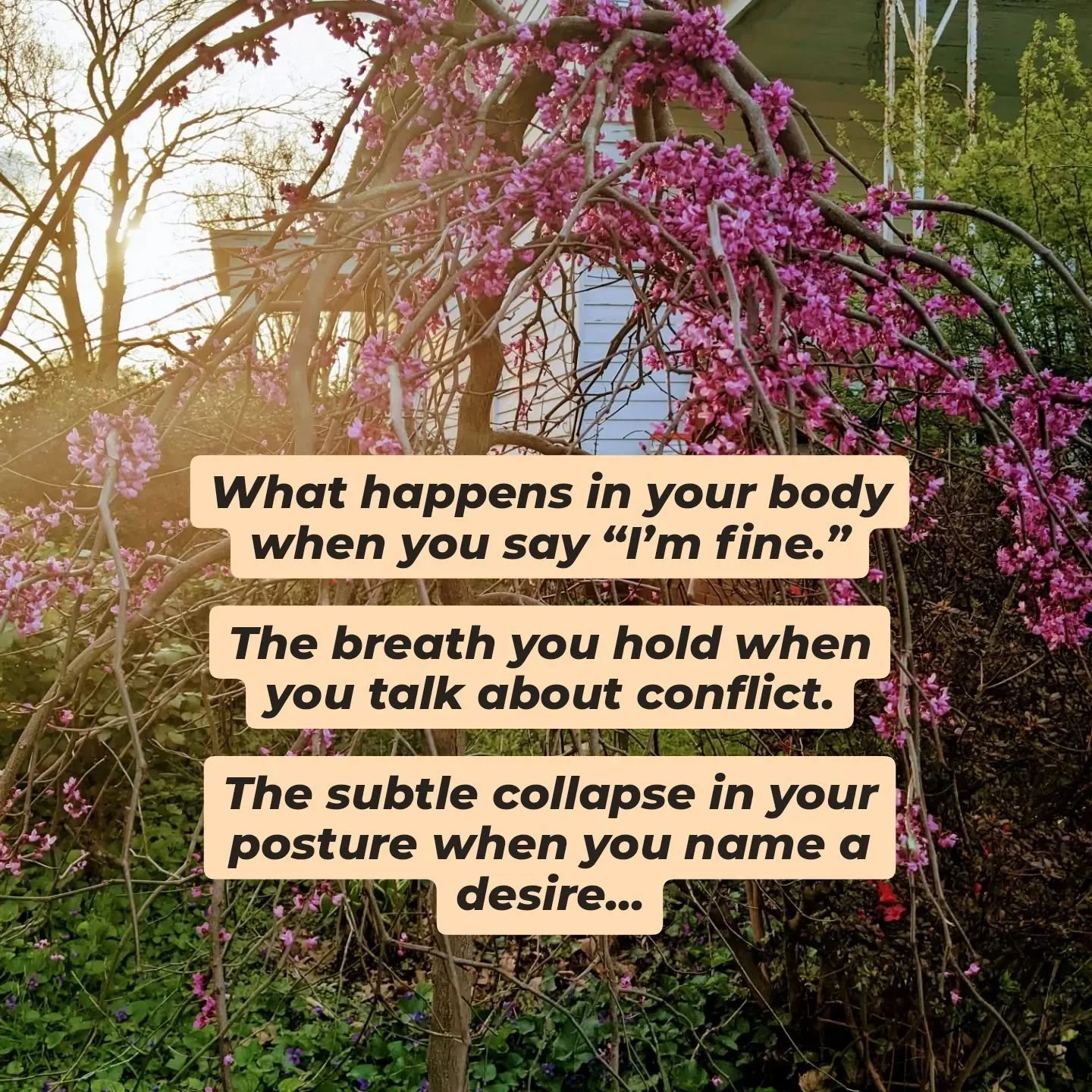 In Hakomi Somatic Therapy sessions, we use mindfulness to gently study these patterns as they are happening in real time.

Small experiments. Subtle shifts. Micro-movements. New sensory input.

Space to notice what has been automatic for years.

We d