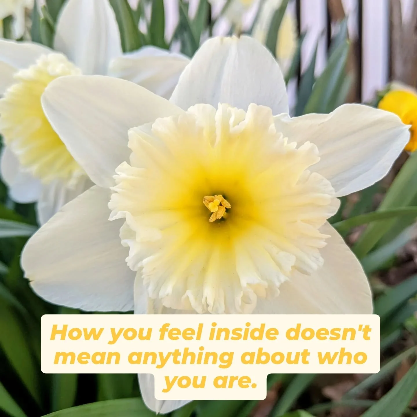 Complex trauma and chronic illness can create strong, automatic associations that certain sensations &amp; emotions mean something about you.

It's a powerful, strong threshold to cross in our healing journey when we start to disentangle this.

#hako