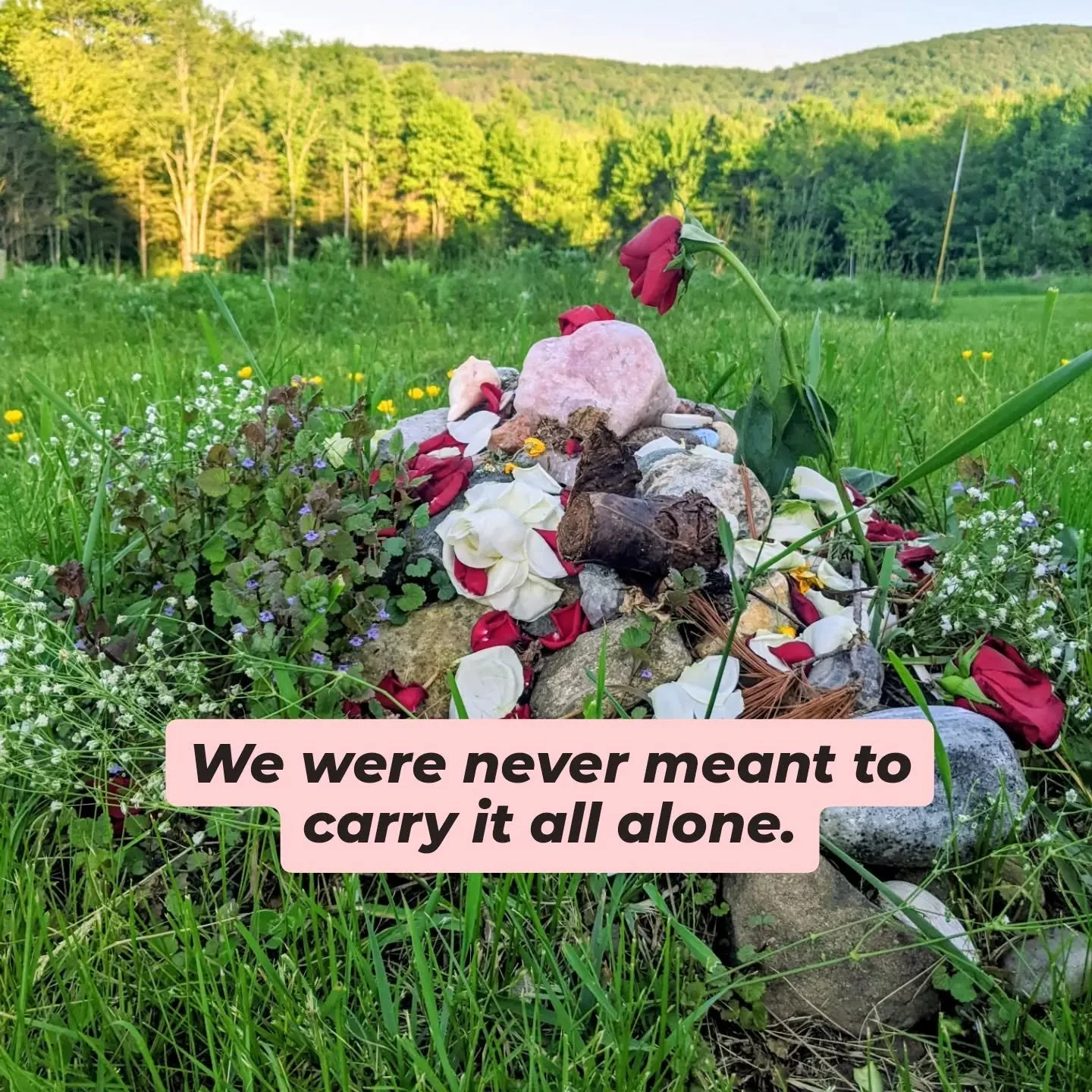 The more I walk this path of continuously learning what it is to be a somatic therapist, a space holder, a container for one's heart - the more I come to feel the wider holding container of this beautiful Earth, and all of the life forms she holds.

