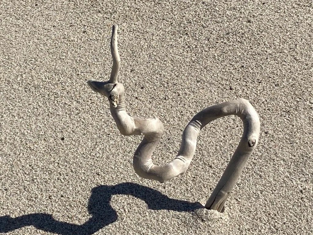 Kostenloser Informations Abend: Was ist Achtsamkeitstraining/MBSR  