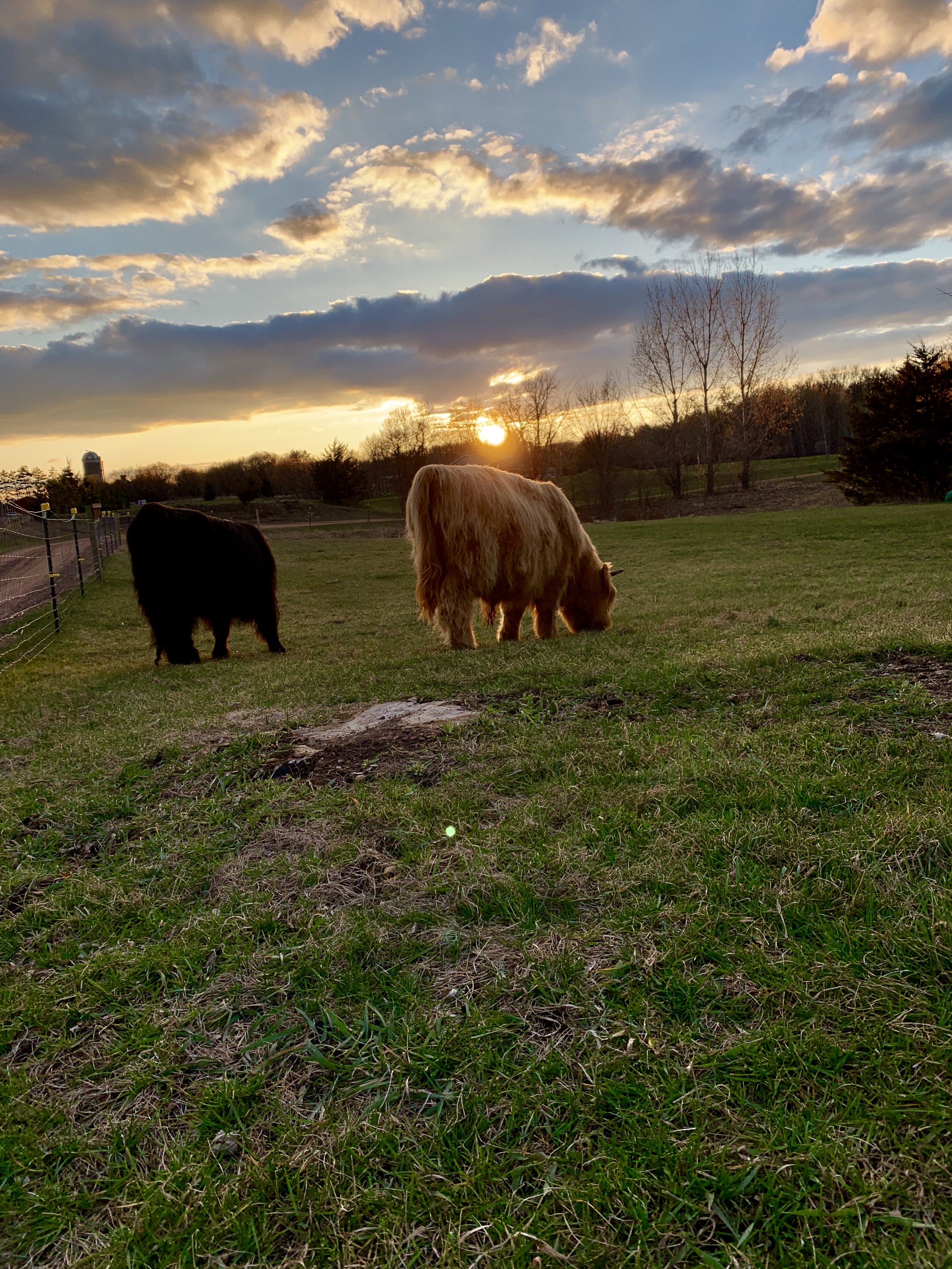 0627B357-324F-46F0-9A6C-89A7F03500AD_1_201_a.jpeg
