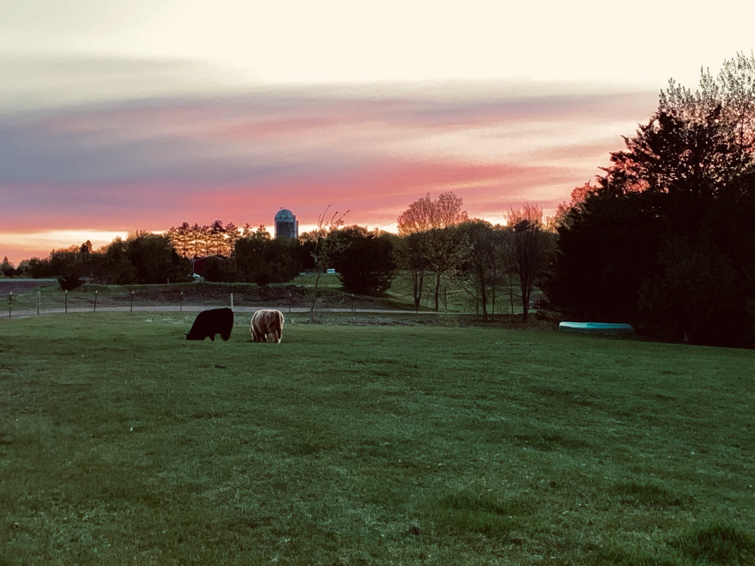80E16864-CFCF-4A6D-861F-048DA7BF9011_1_201_a.jpeg