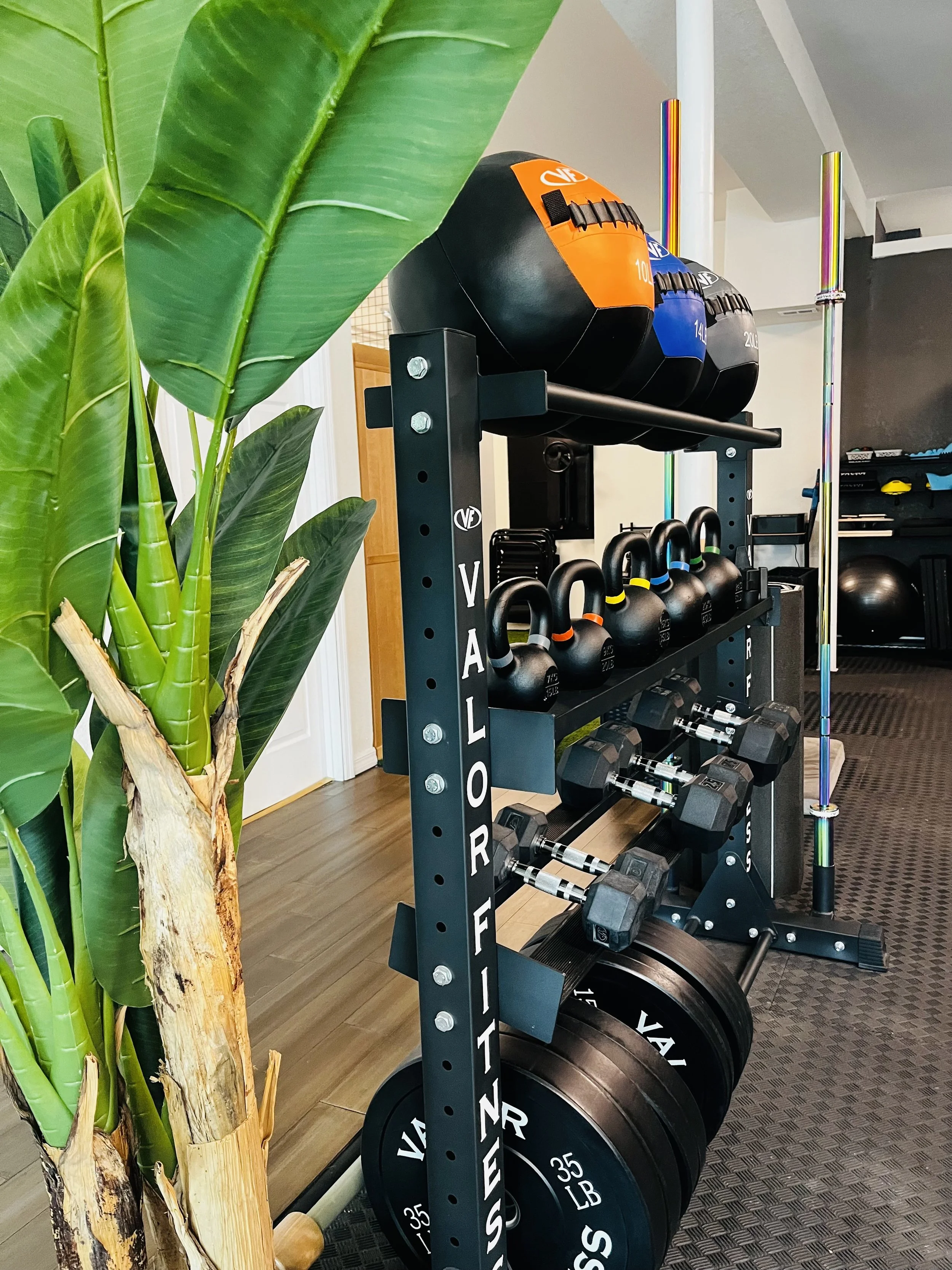Burg Physical Therapy