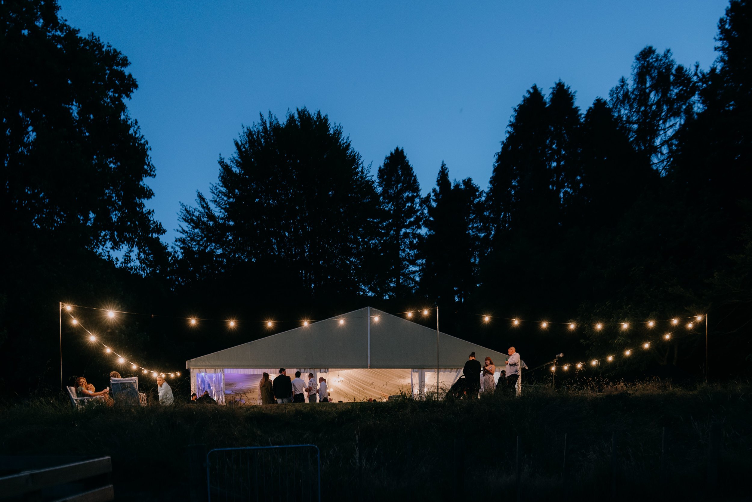  Marquee at night at Longfords Estate Lake Okareka 