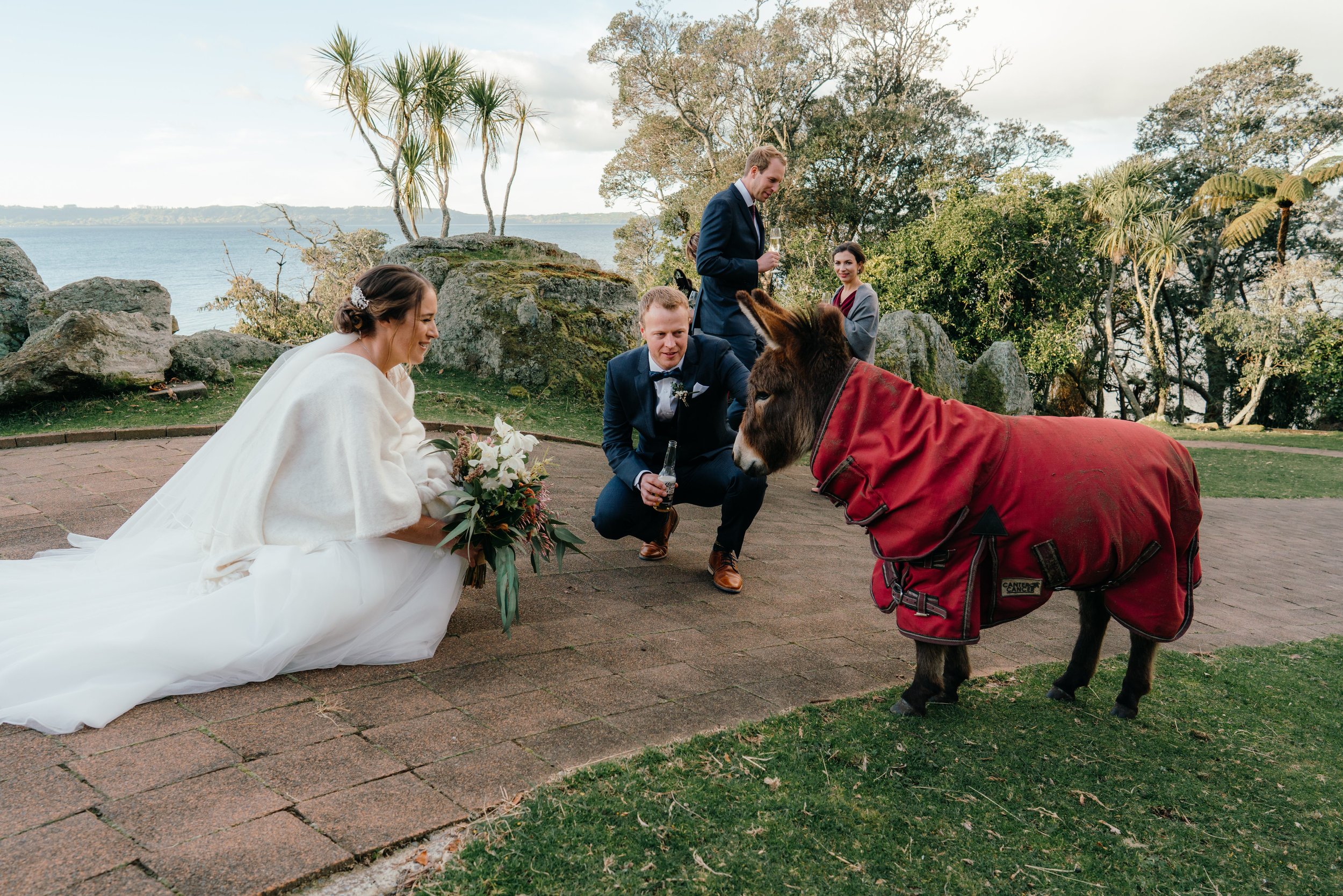  Donkey at On the Point Wedding 