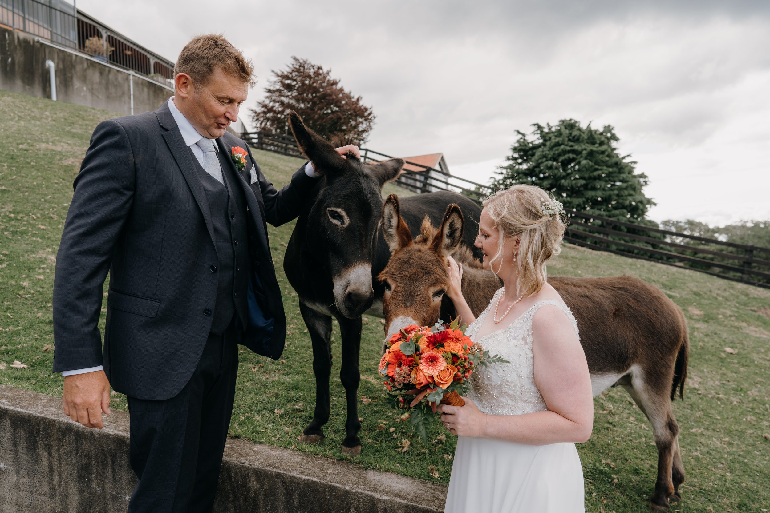  Bride and Groom with Donkey’s at On the Point 