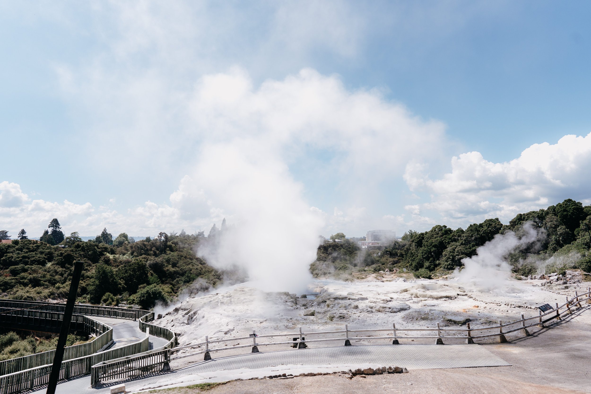  Pohutu Geyser 