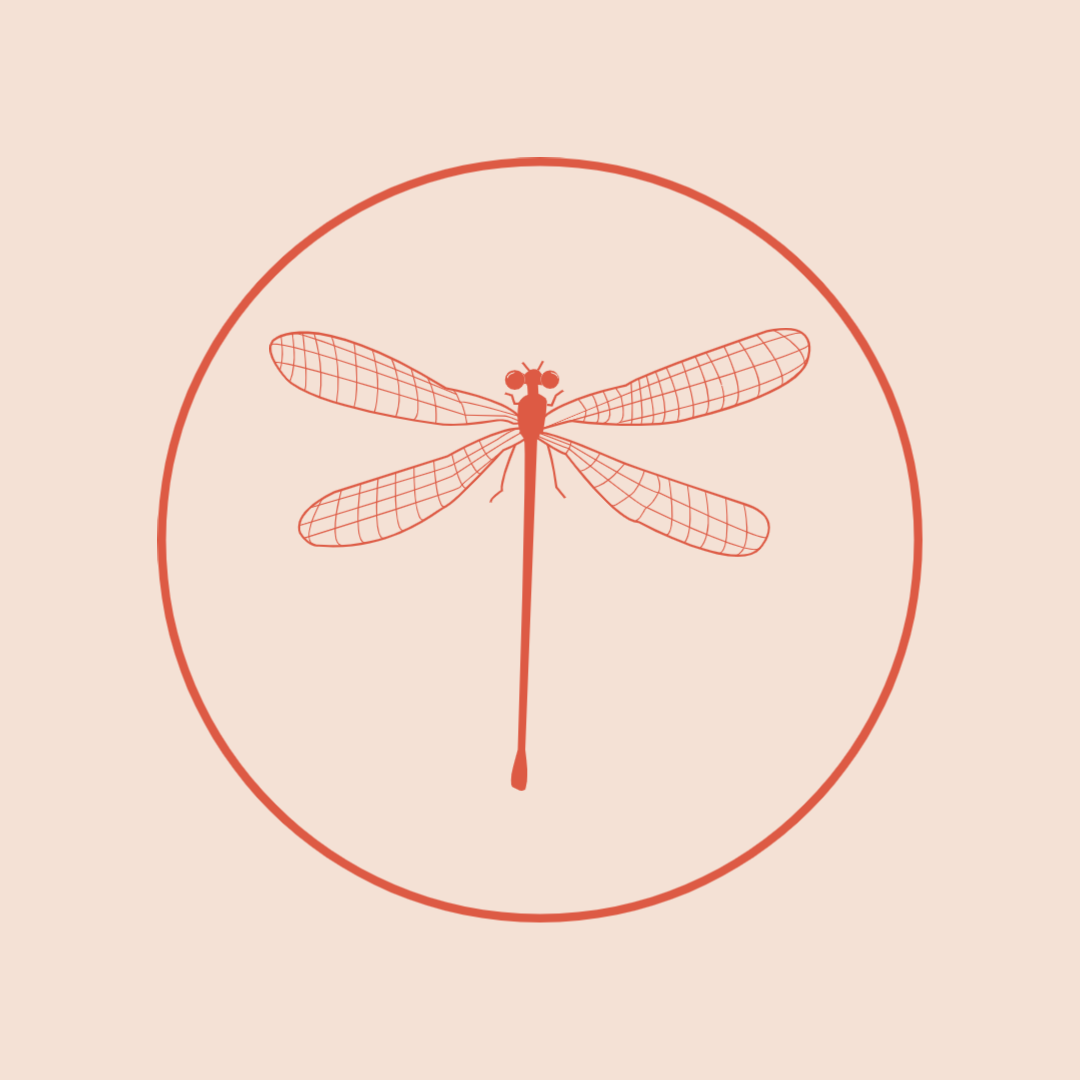 Orange Dragonfly Weddings and Events