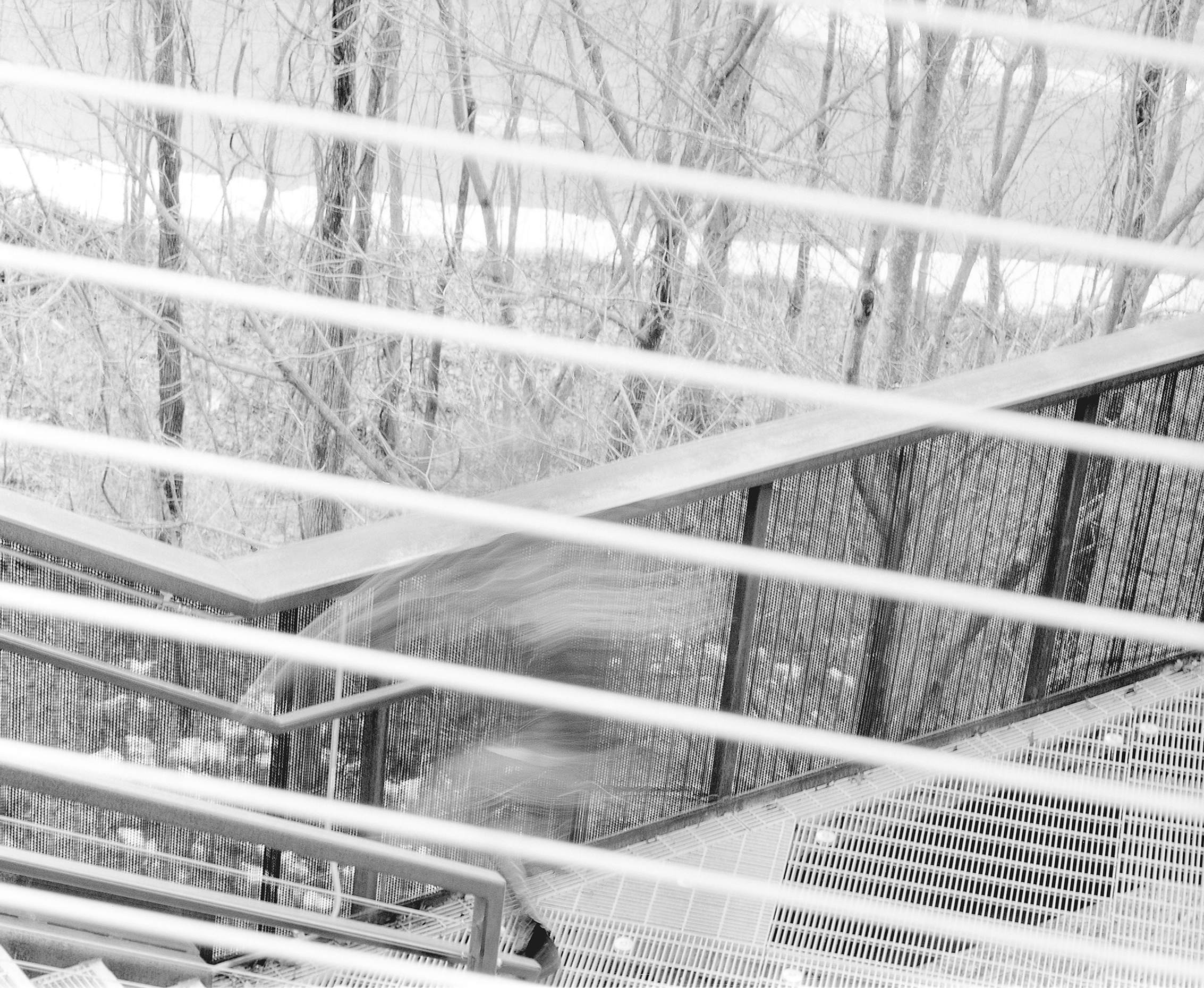Space Blacklick Woods06.png