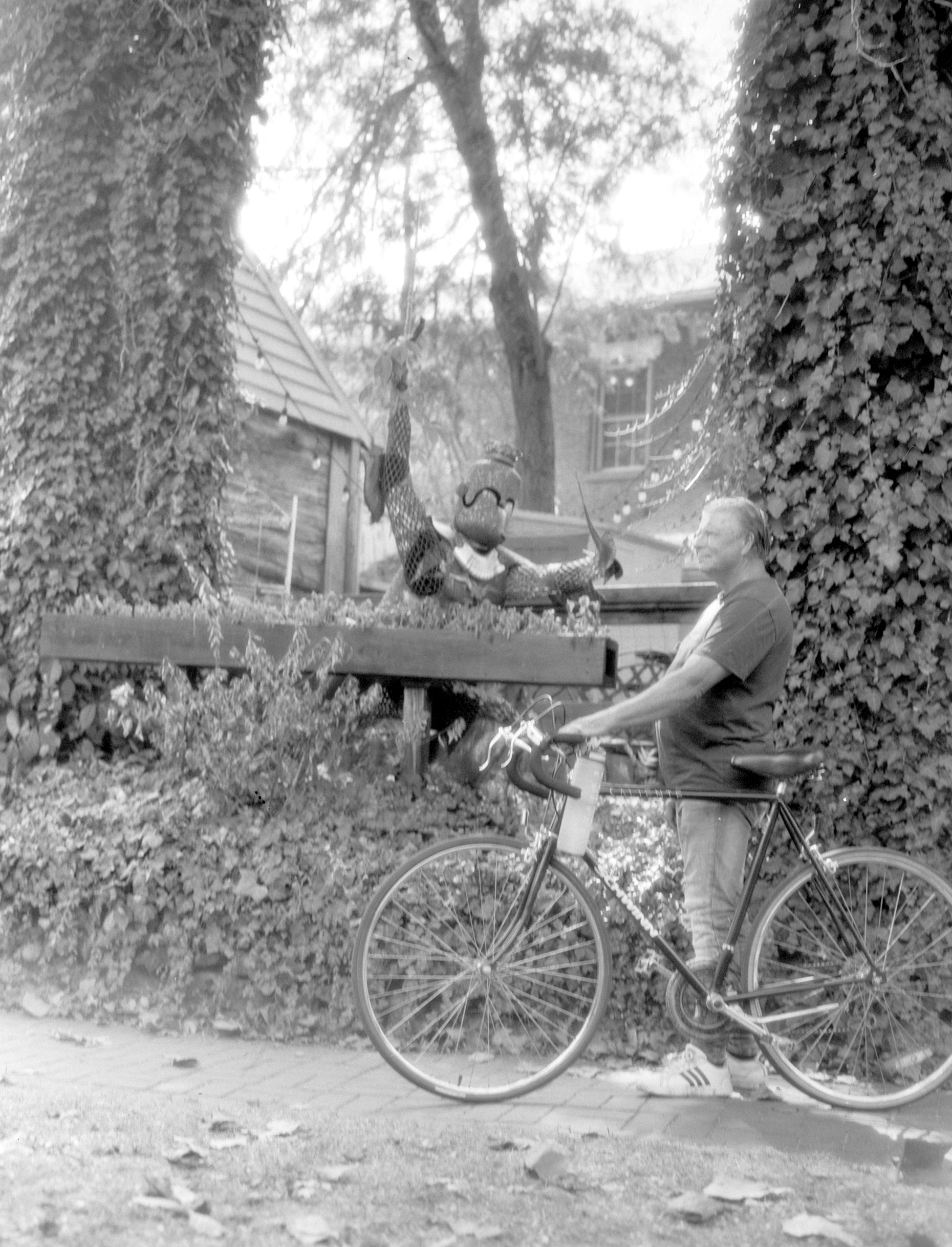 Yellow Springs 9.17.24_8.png