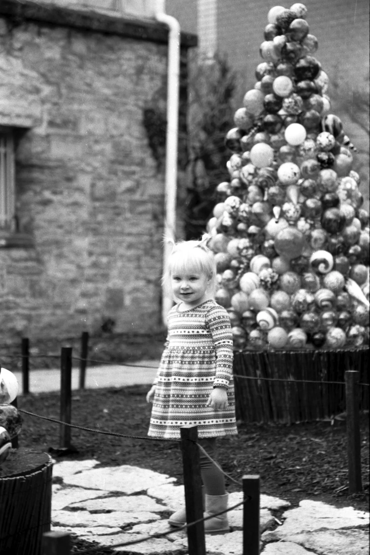 Cora - FP Conservatory 1.jpg