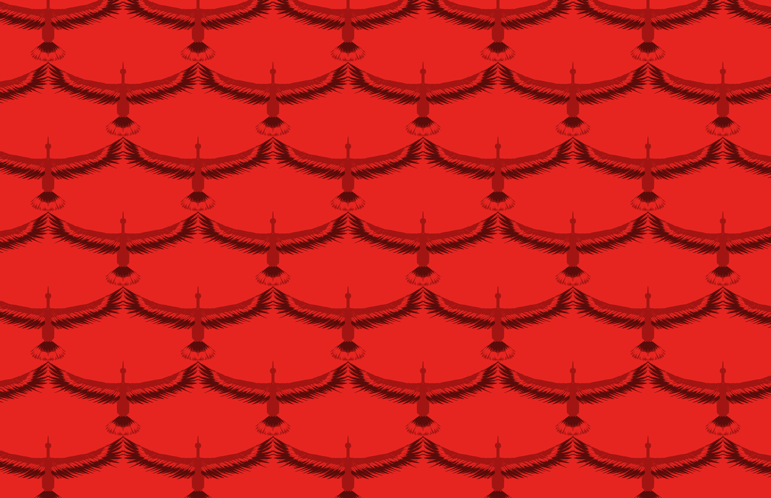 IMG_0867.png