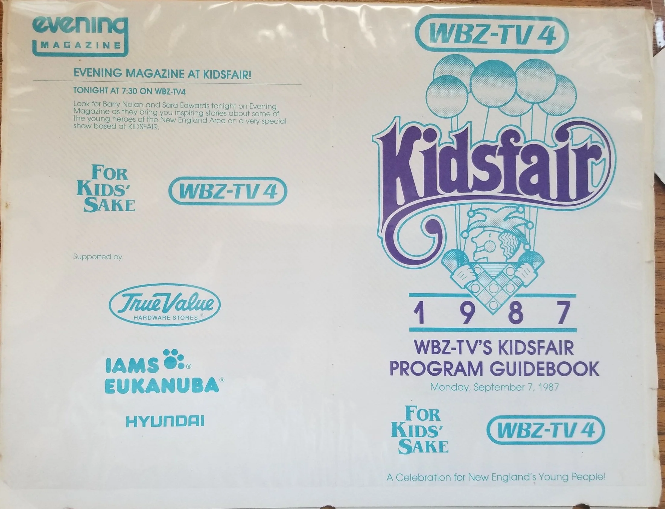 Kidsfair Program Guidebook (Copy)