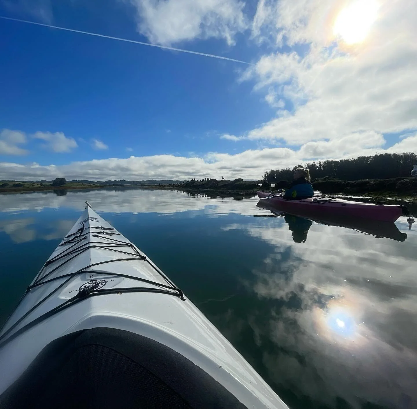 Our friend @jakehilliker catching a tan in Elkhorn Slough this morning. This is one of the largest estuaries in California, home to 340 bird species, 550 invertebrates, 100 fish species and 60 different mammals! 

#visitmontereybay #seemonterey #kaya