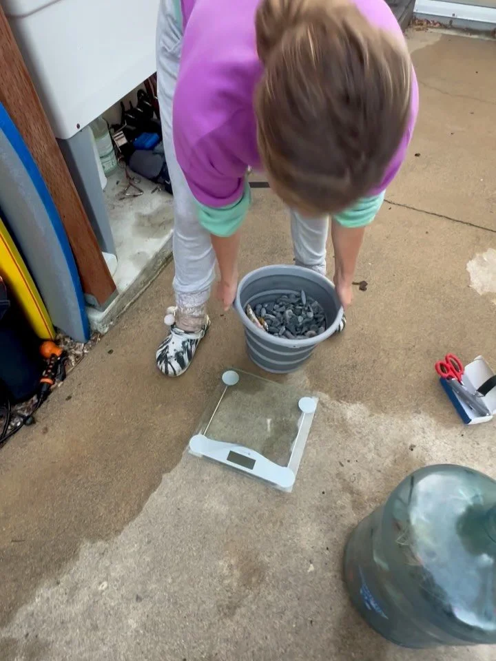 1️⃣ It&rsquo;s officially been one year since we started organizing community cleanup dives, and the response from our community has been so uplifting! 

Last Sunday, 25 divers got in the water despite pea-soup viz and countless others helped topside