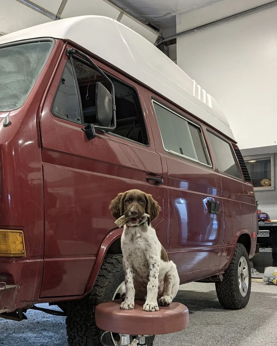 Moya is transforming and on her way out after 10 years together. This is now (was?) A Nate personal account / dog account (what the people want via testing). See @brbuilds for 25% dog and 100% what ever I'm doing with the new shop or my vehicles.  Th