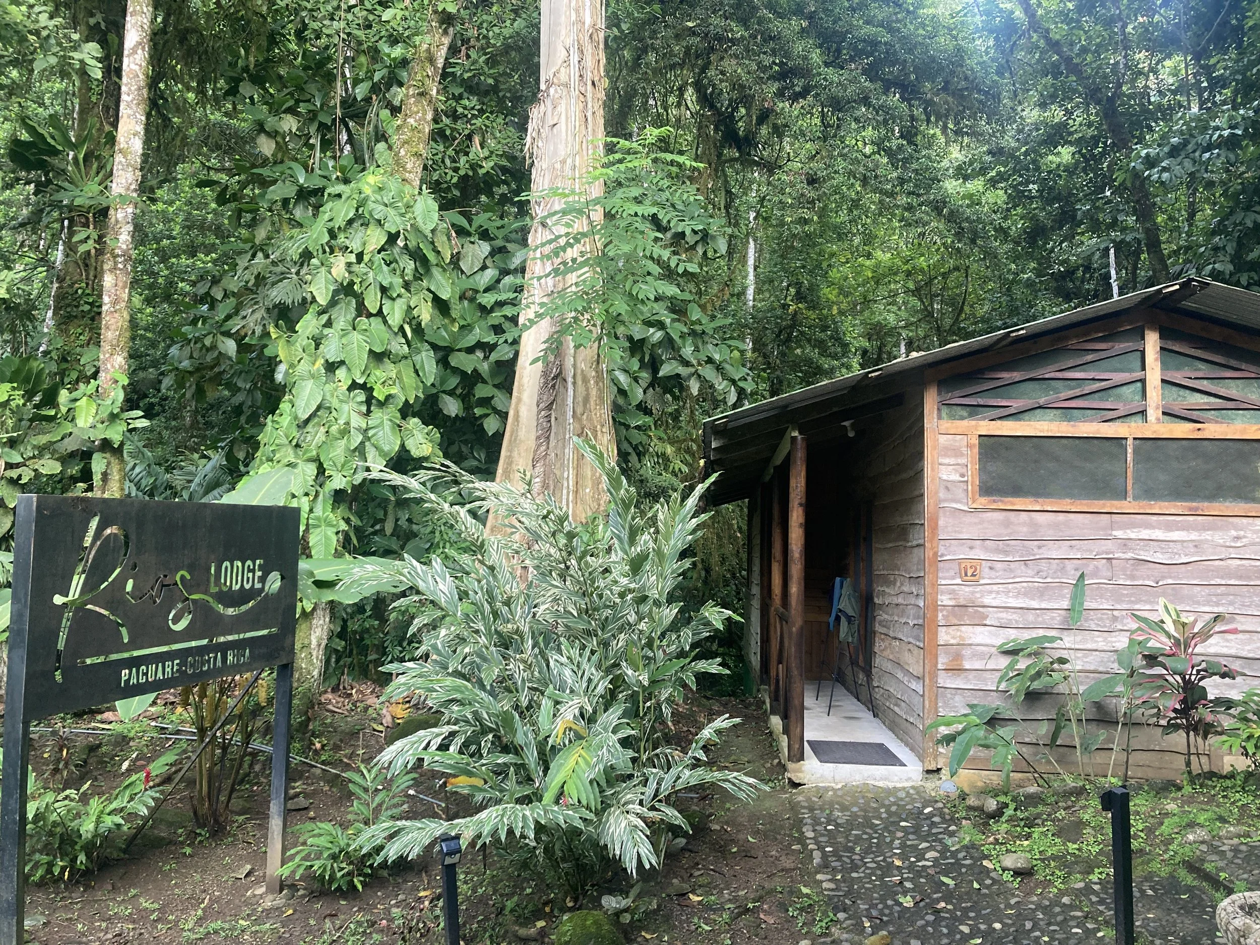 junglecabin.jpg