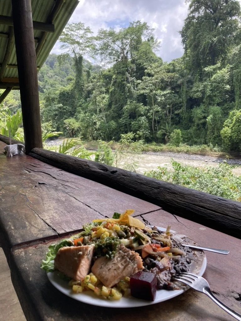 meal.jpeg