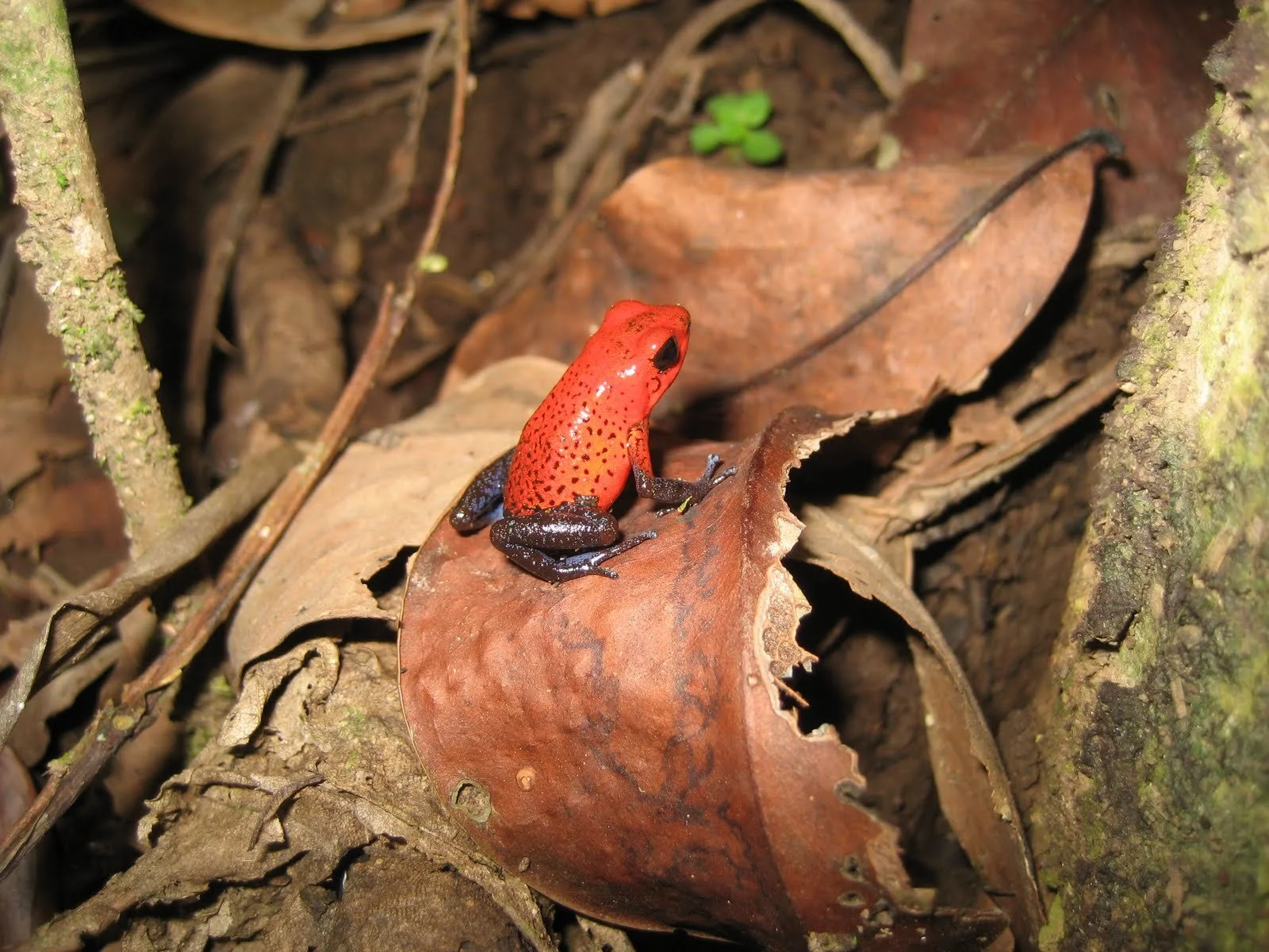 scottpics_stafftraining (17).JPG