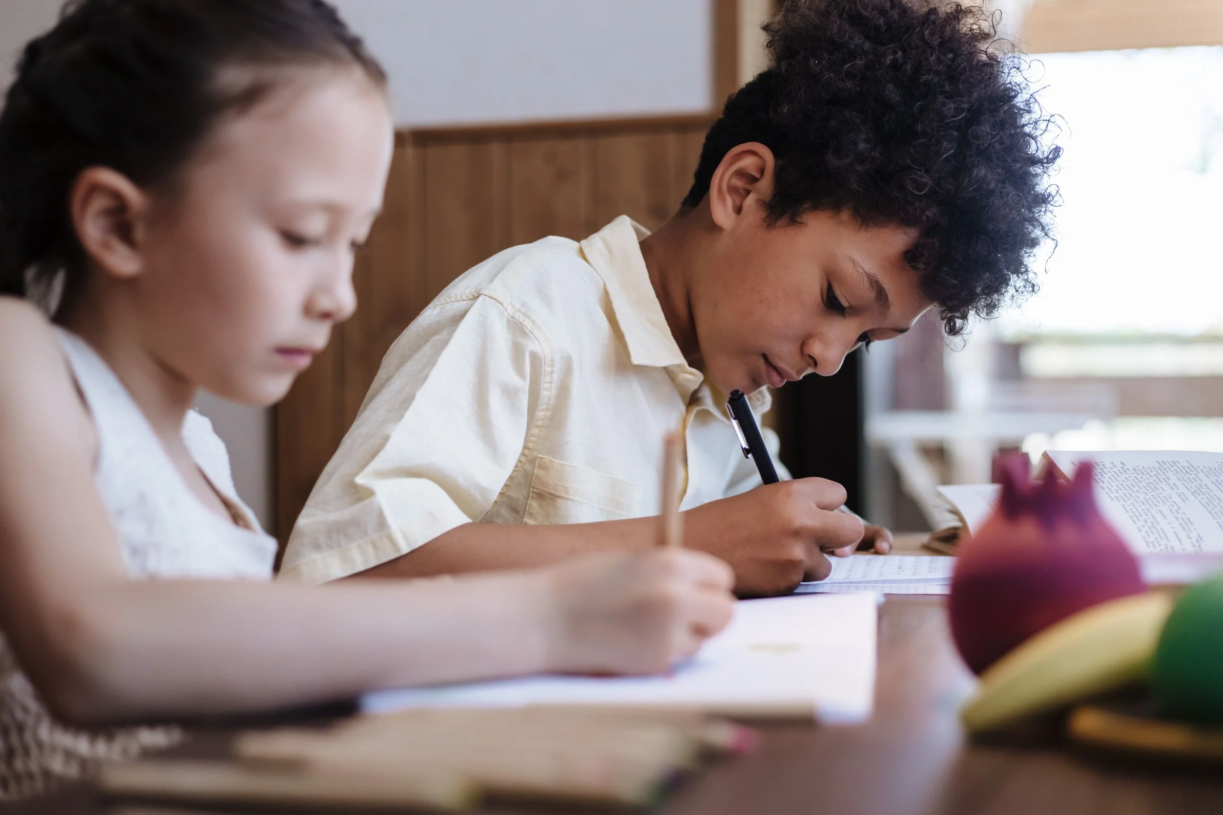 ADHD and School Support in Minnesota: IEPs, 504 Plans, and Evaluations