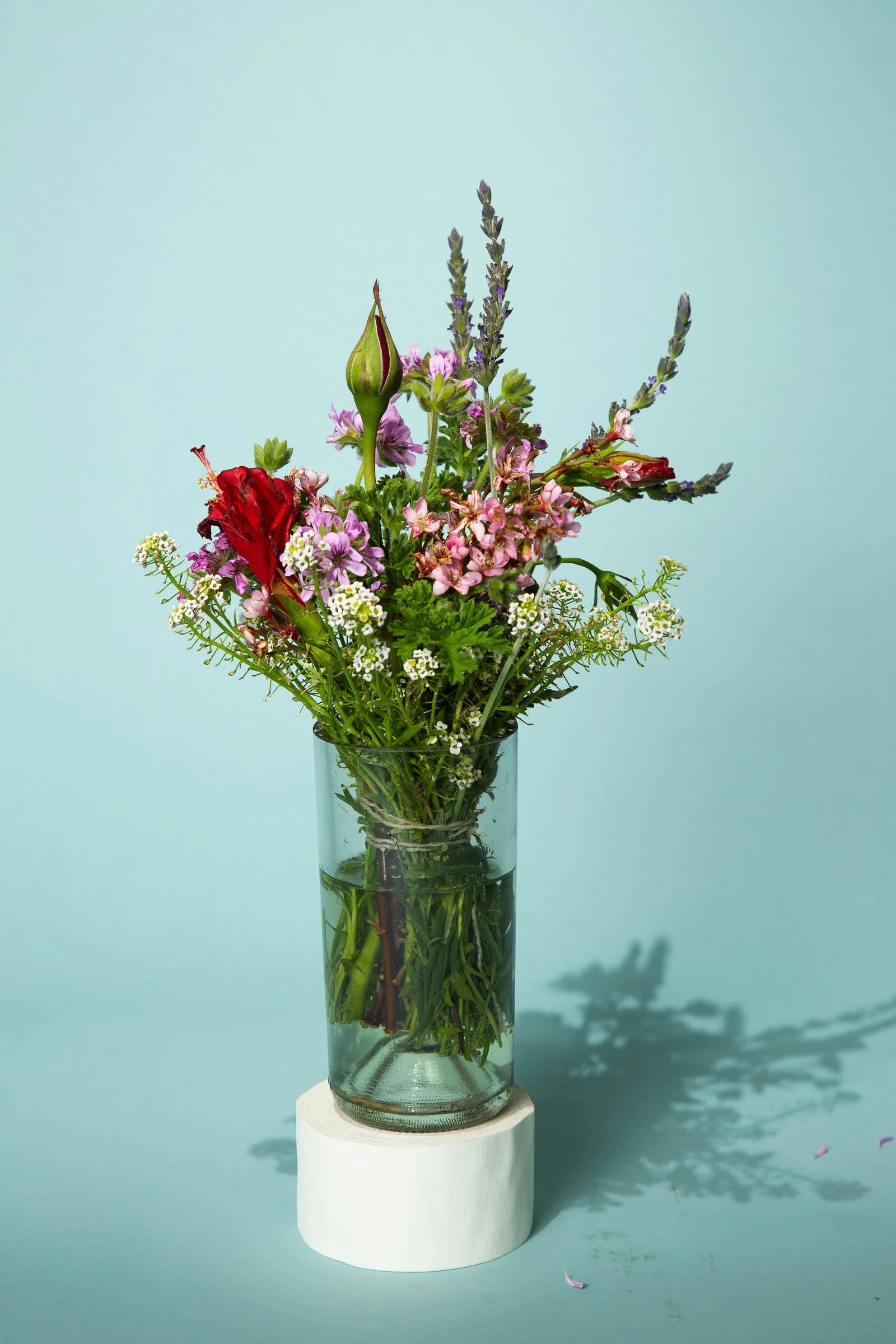 Flowers-Quarantine-4D8A1419_1.jpg