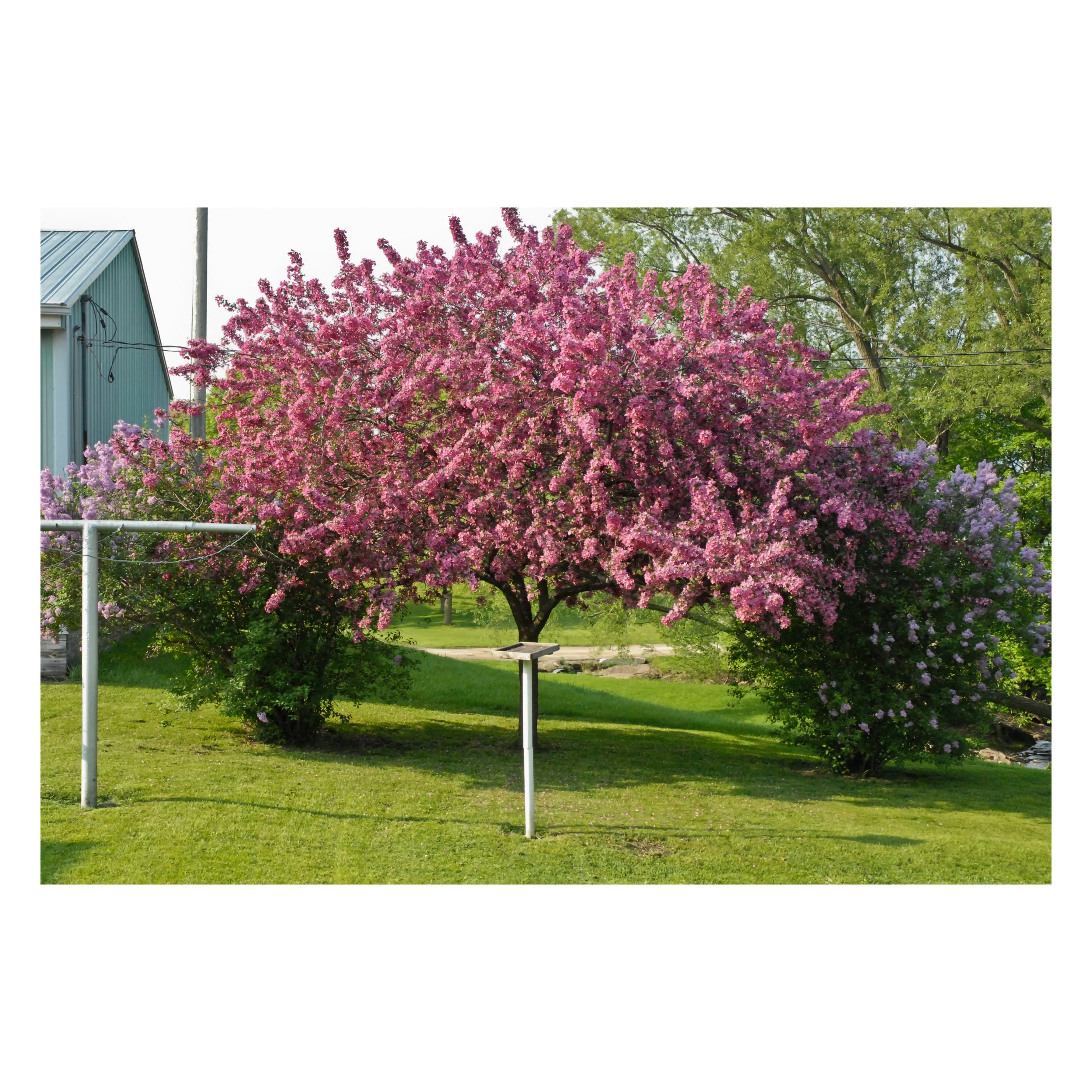 Stacyville, Iowa 2007.jpg