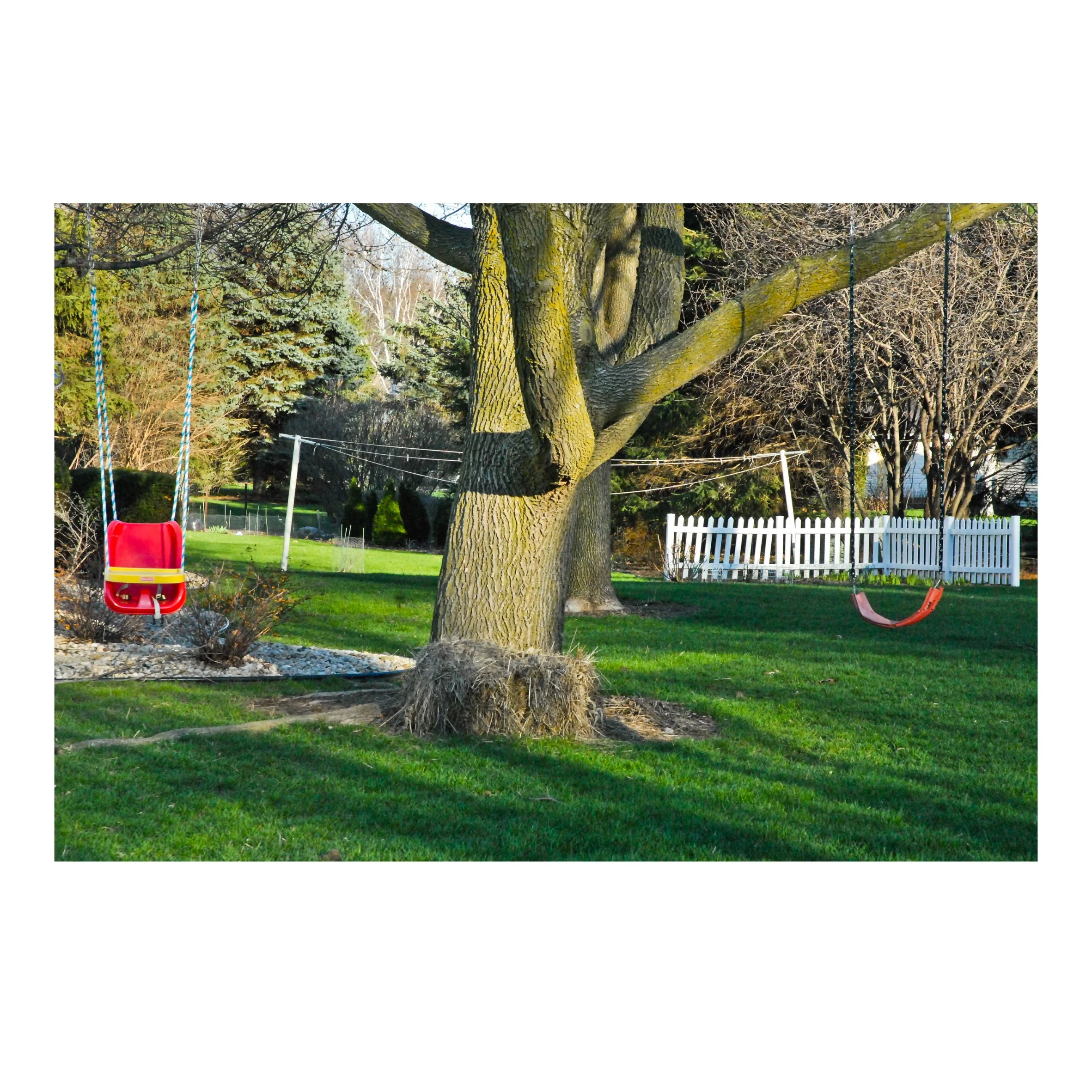 PRINT - BECOMING: America at 250, "Madison, Wisconsin 2013" photograph by Dennis Church, signed 1/1