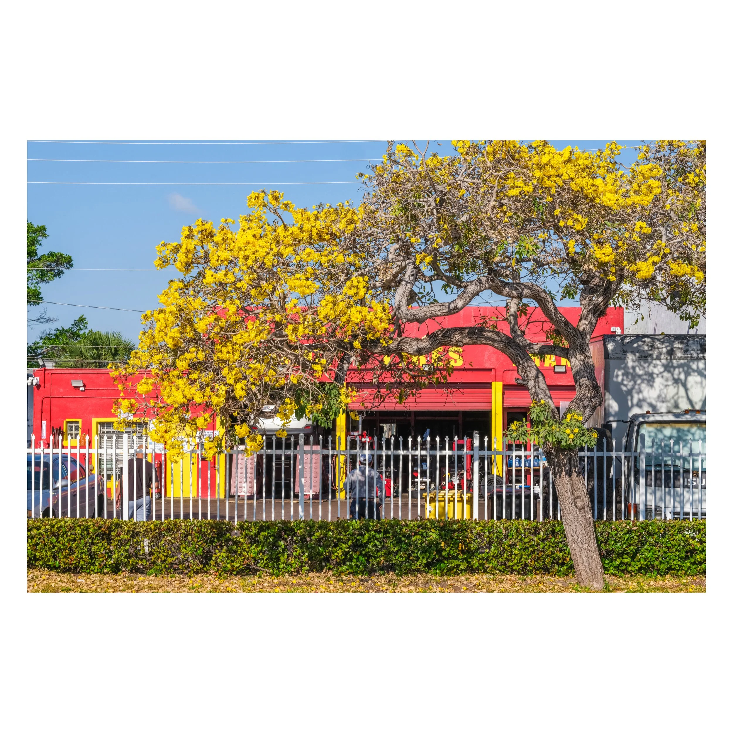 Lake Worth Beach, Florida 2026.jpg