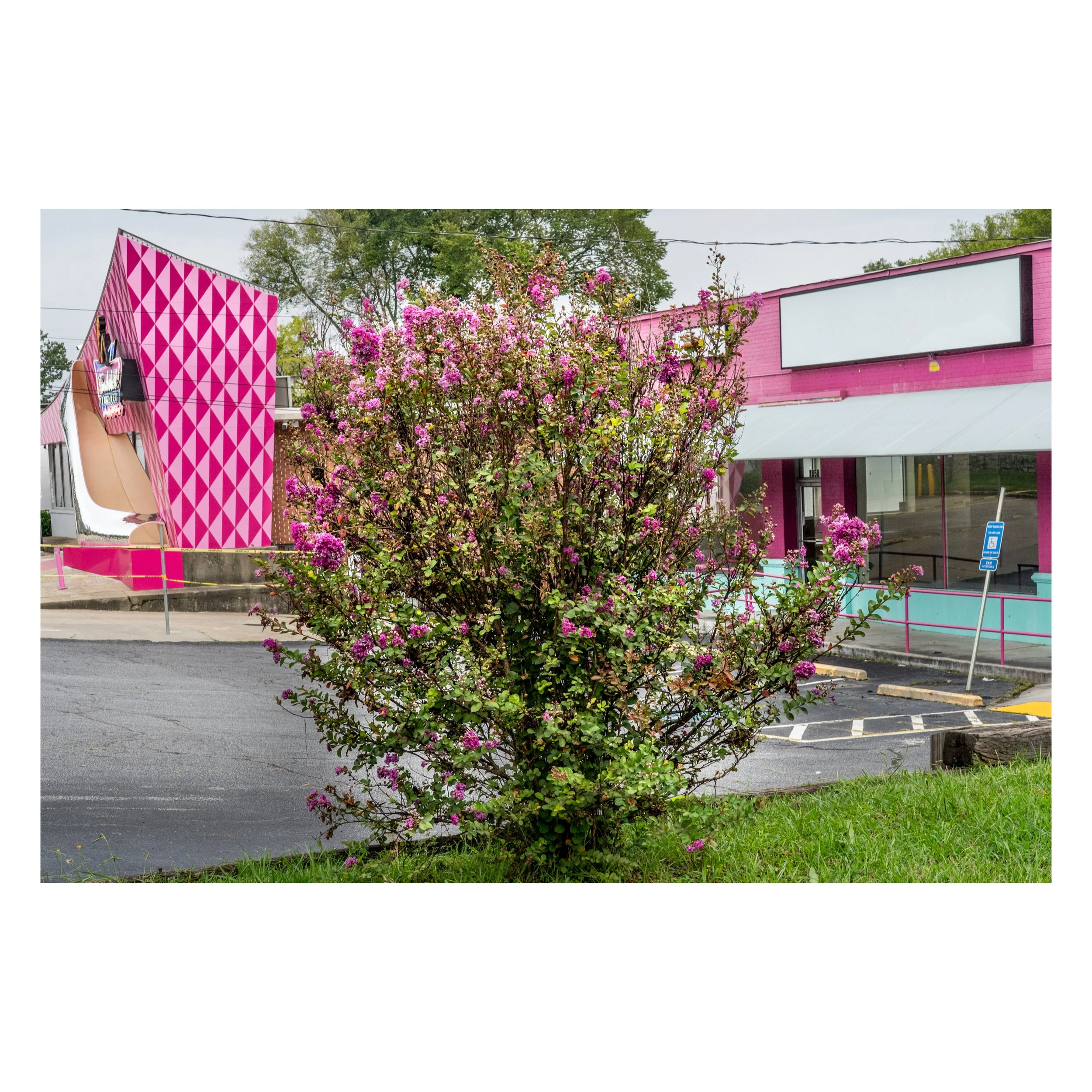 Atlanta, Georgia 2023.jpg