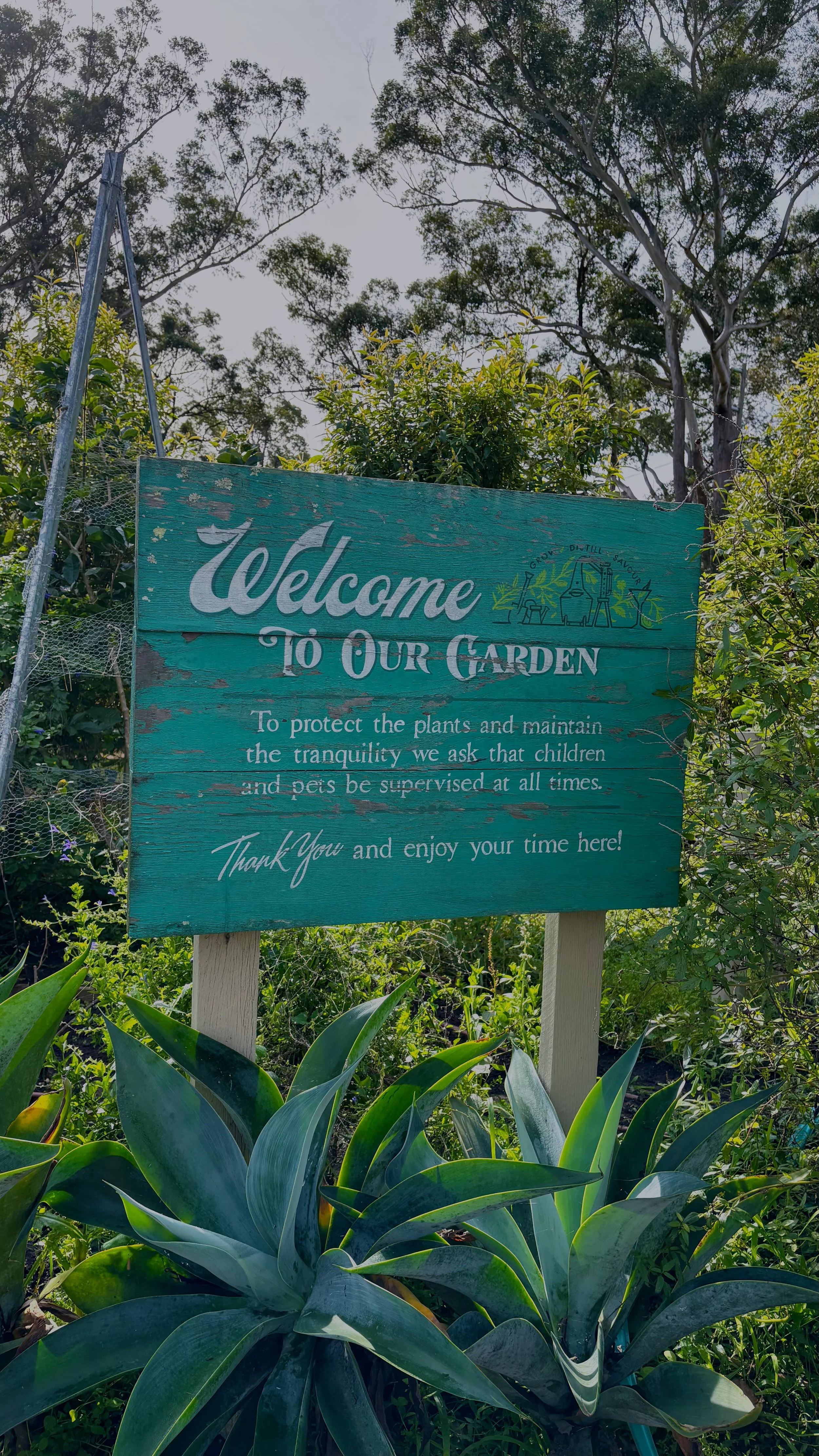 Winter Activities on the Central Coast