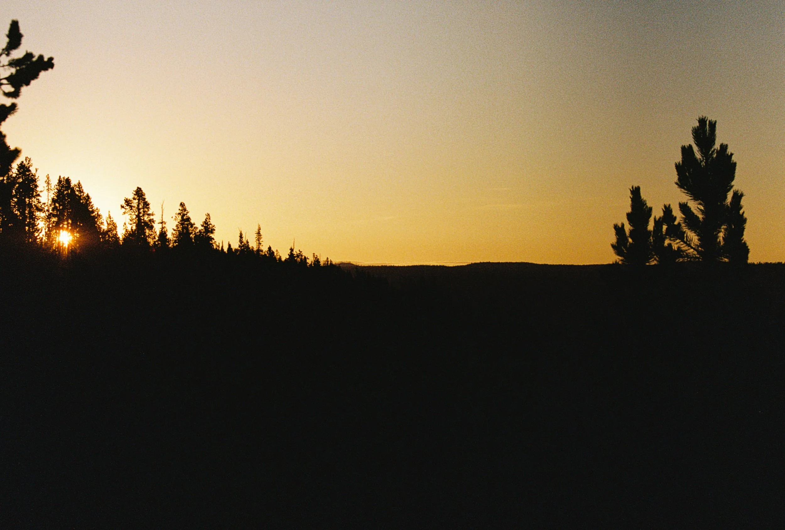 R1-07891-016A.jpg