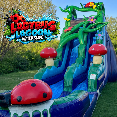 Ladybug Lagoon Waterslide