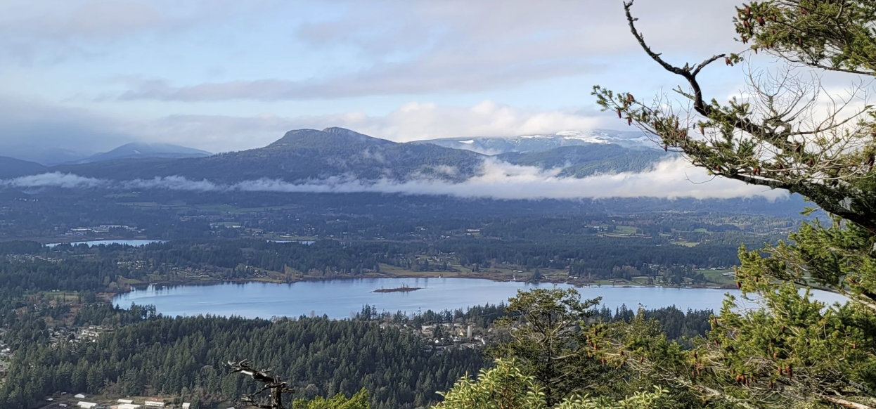 QLNA Membership Is Free for 2026