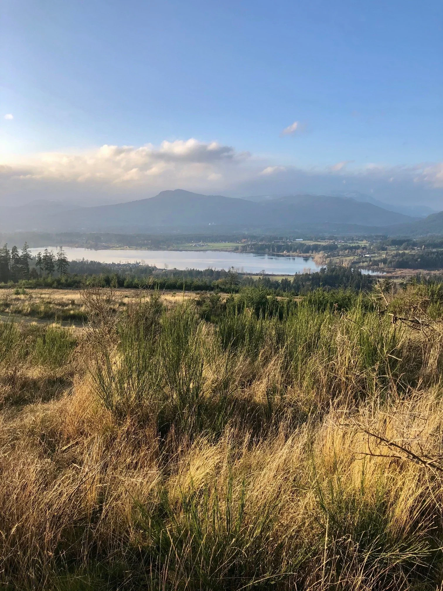 Protect our Official Community Plan