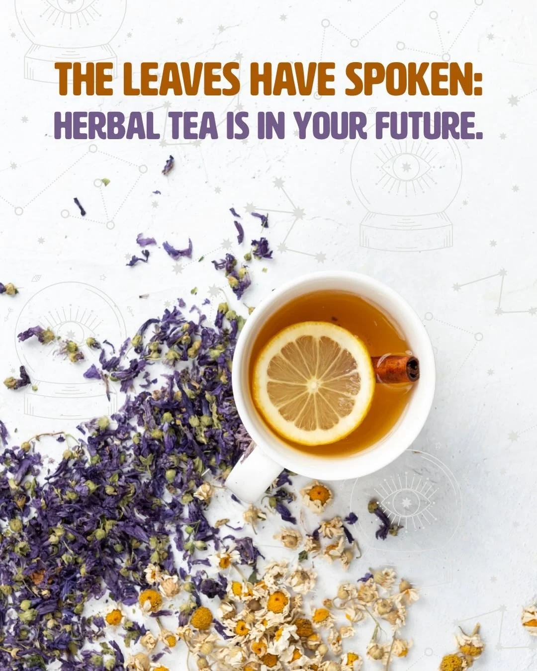 We have a variety of herbal teas to choose from at The Root! Comment your favorite one below! 

#herbalteas #kavabars #boulderlife #kavacommunity #kavaculture
