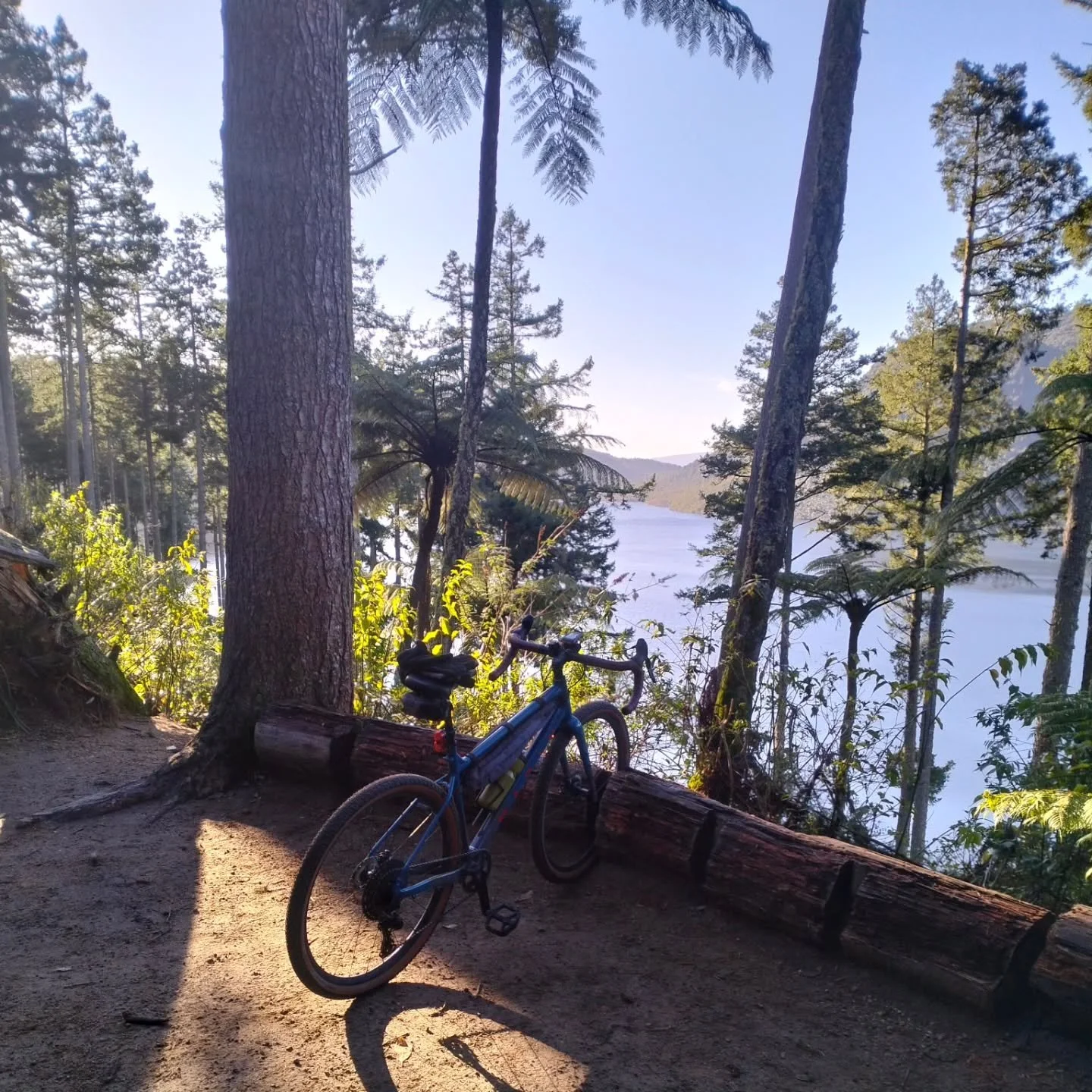 Mixed work with a workout today. Early chilly morning ride around the Redwoods and then feeding the brain at a Bosch product presentation .
Last fitness training before the Karioi Classic on Sunday which will be physically and mentally draining, whil
