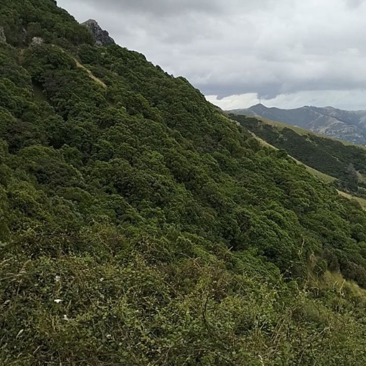 Highly enjoyable day 3 of riding on Banks Peninsula.
The Bastard was not so badass and Summit Road on the Port Hills is pure bliss.
Another great ride in my history book.
On to the next one.