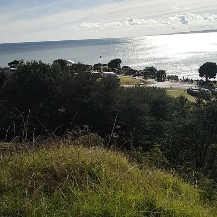 Lots going on in the last couple of days.
Done my yearly tribute ride around our maunga.
Checked out the WSL vibe on my way home.
Heaps of work been done on our local mtb trails as well 
They are still going strong after 10 years.
Shop will be closed